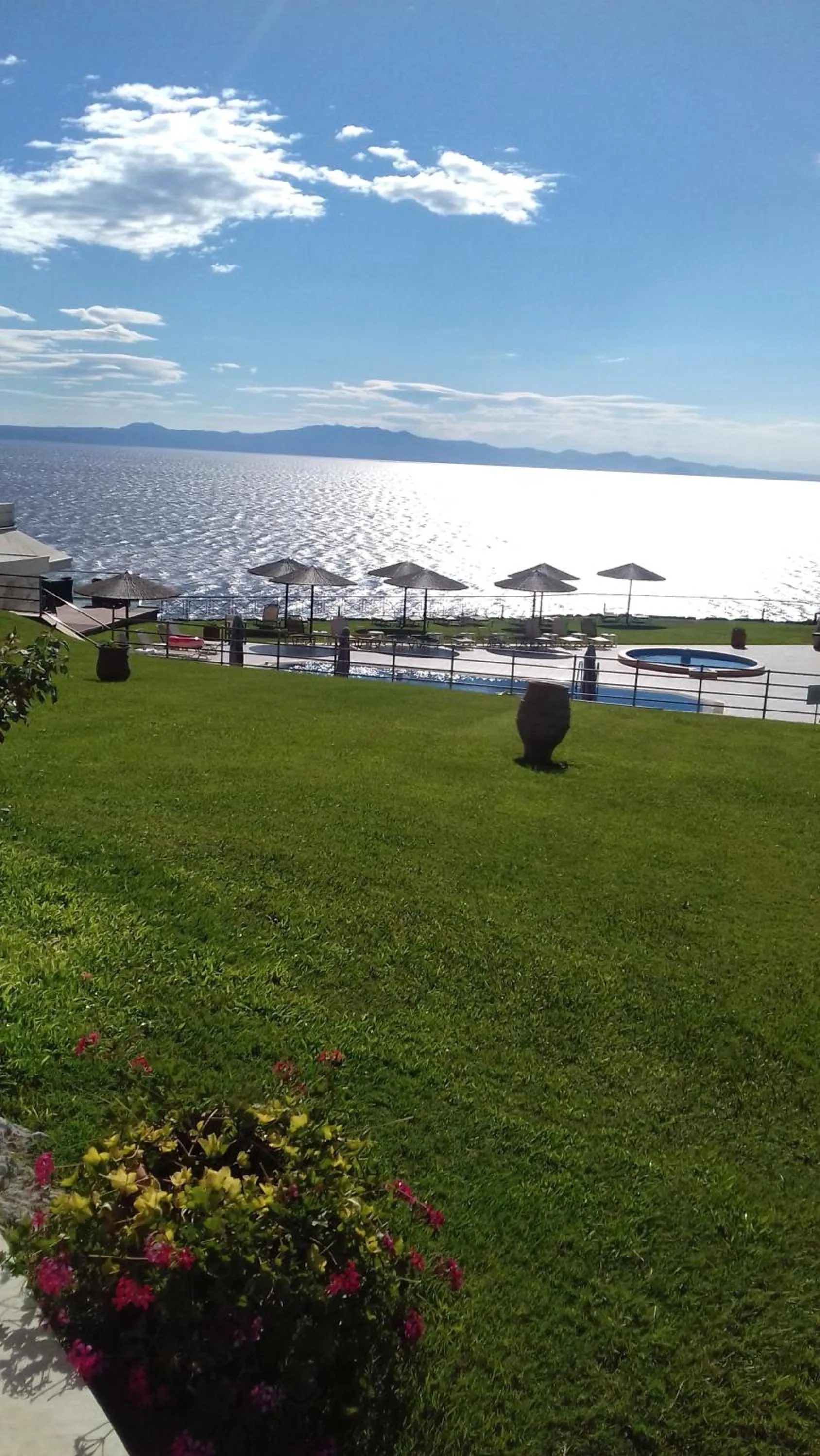 Garden in Aegean Blue Studios