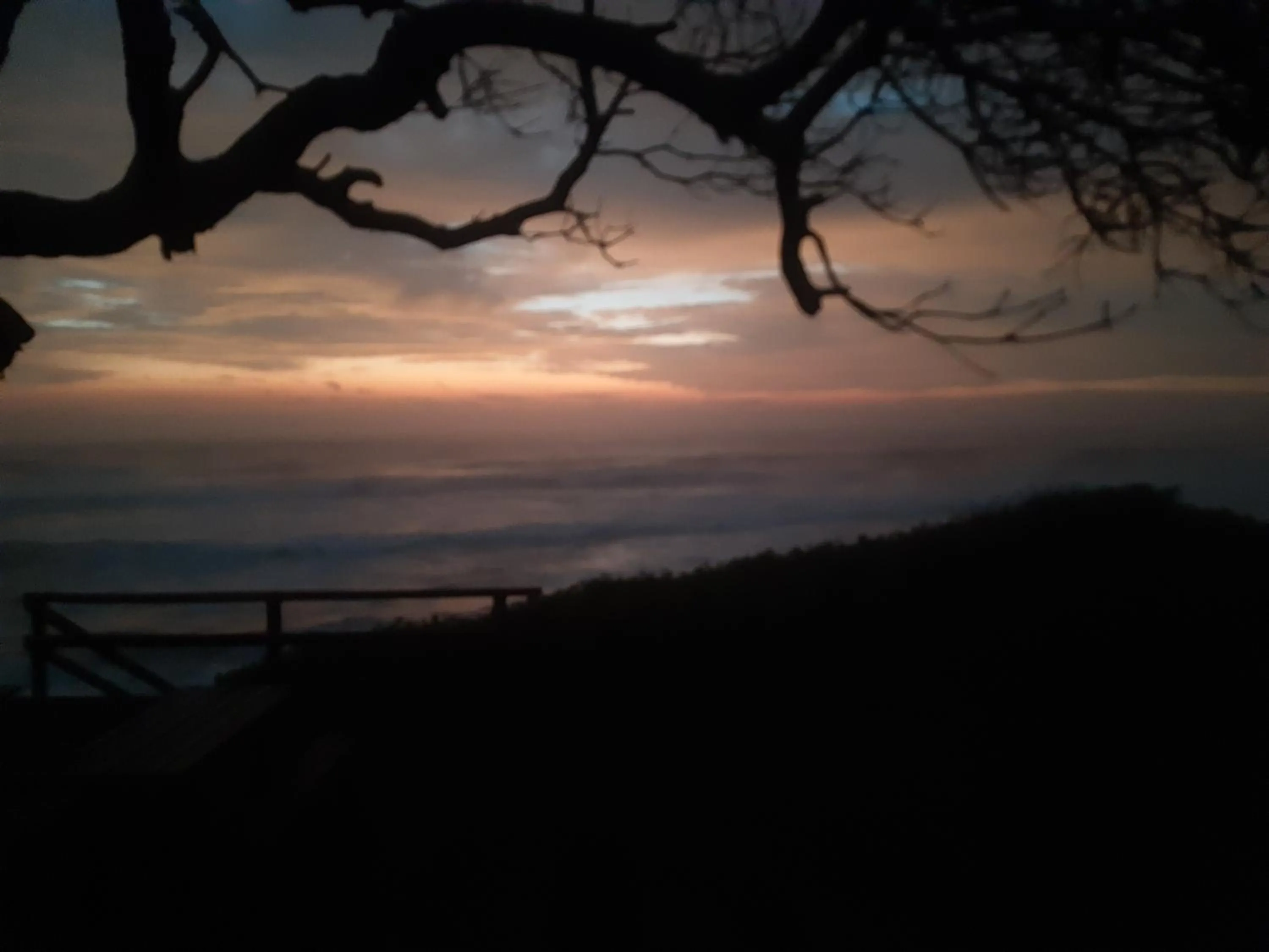 My Den Bed and Breakfast Pty Ltd