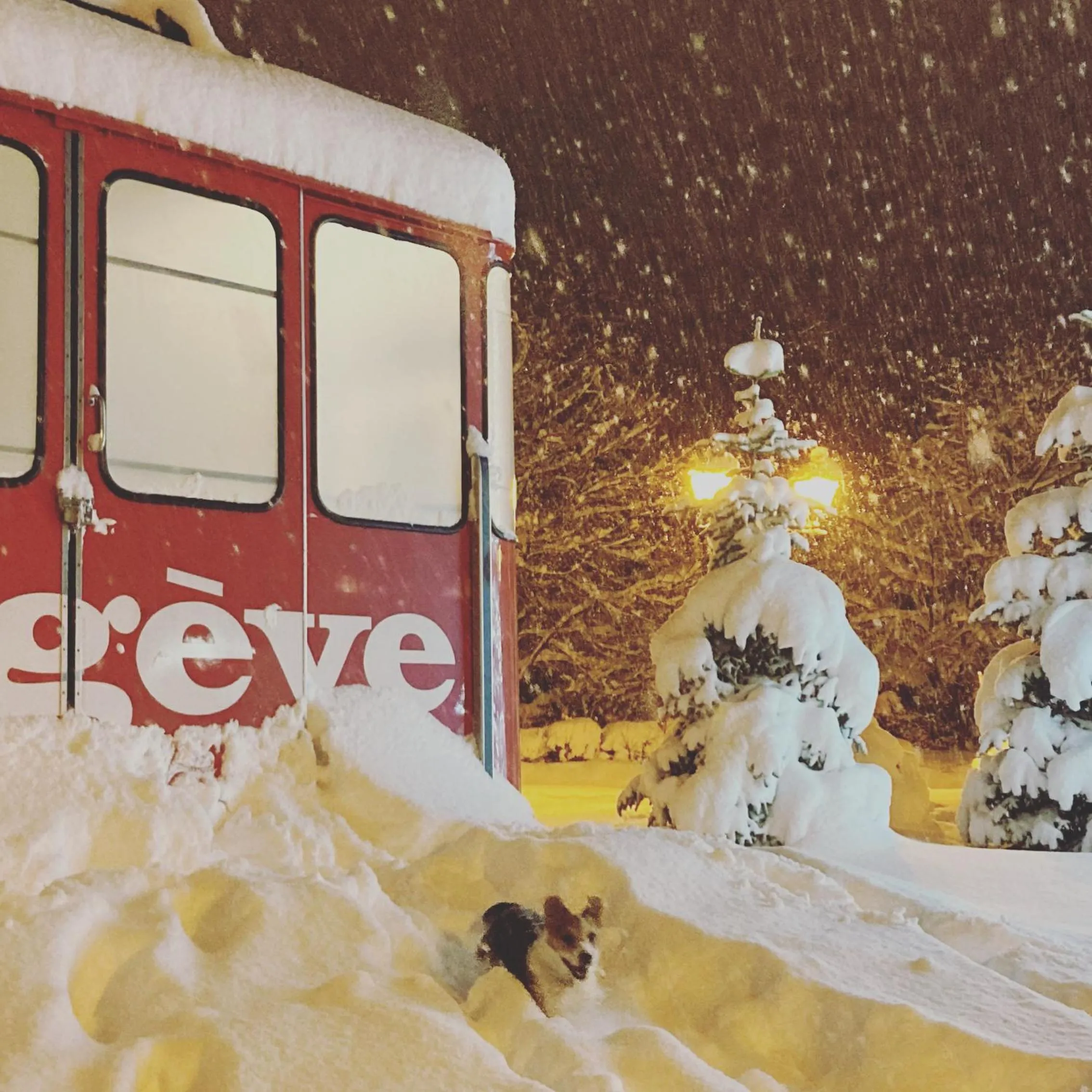 Winter in Hôtel Les Cimes