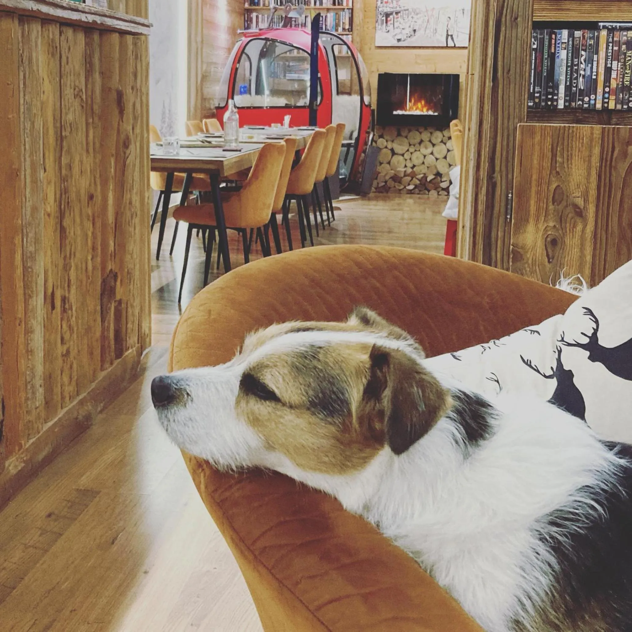 Lounge or bar in Hôtel Les Cimes