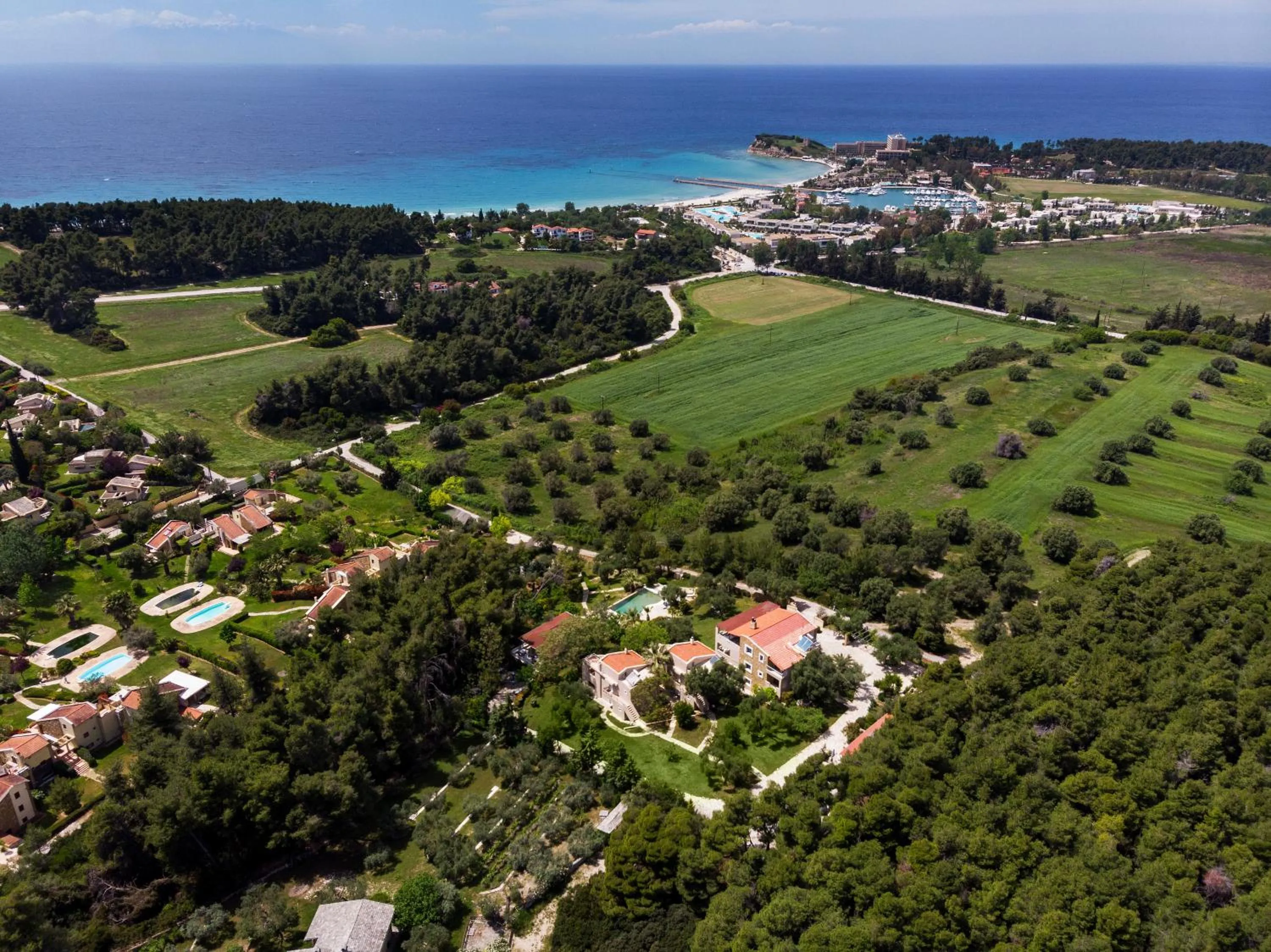 Garden in Sanidiamonds