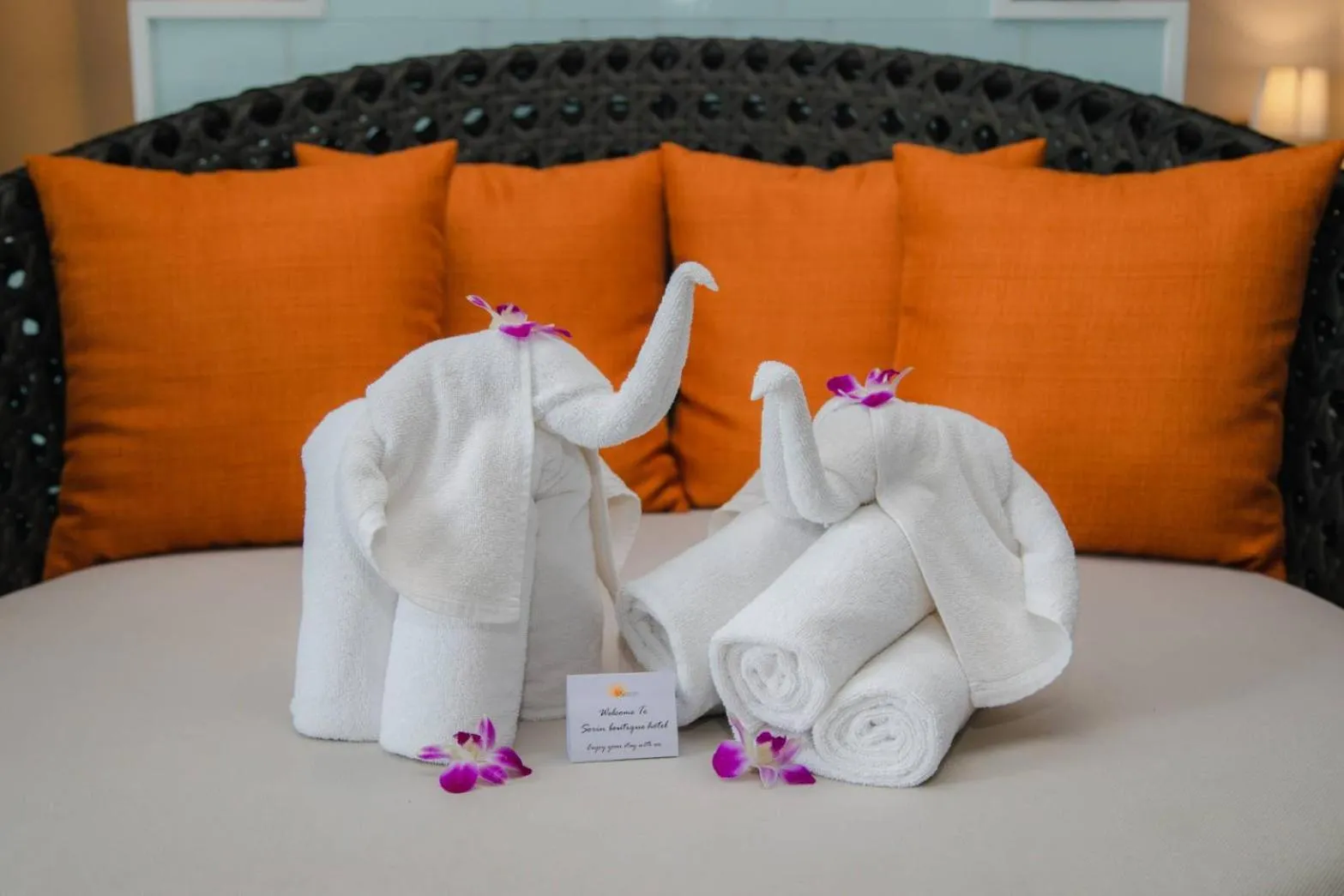 Photo of the whole room in Sorin hotel