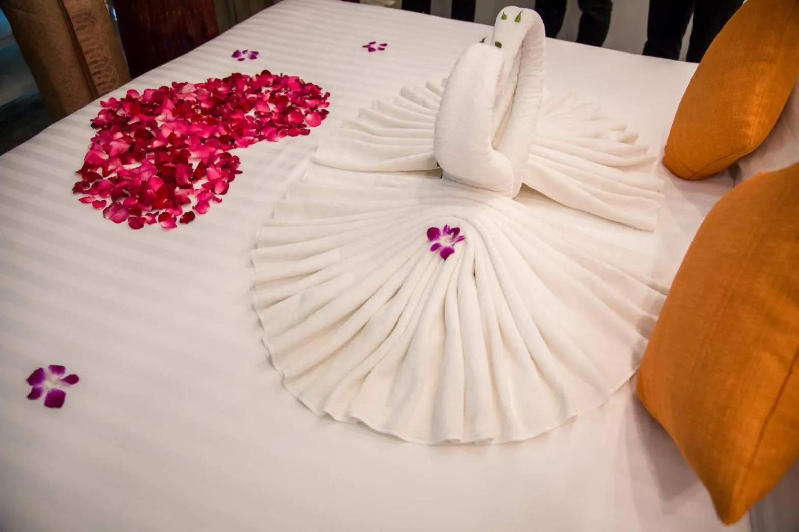 Photo of the whole room in Sorin hotel