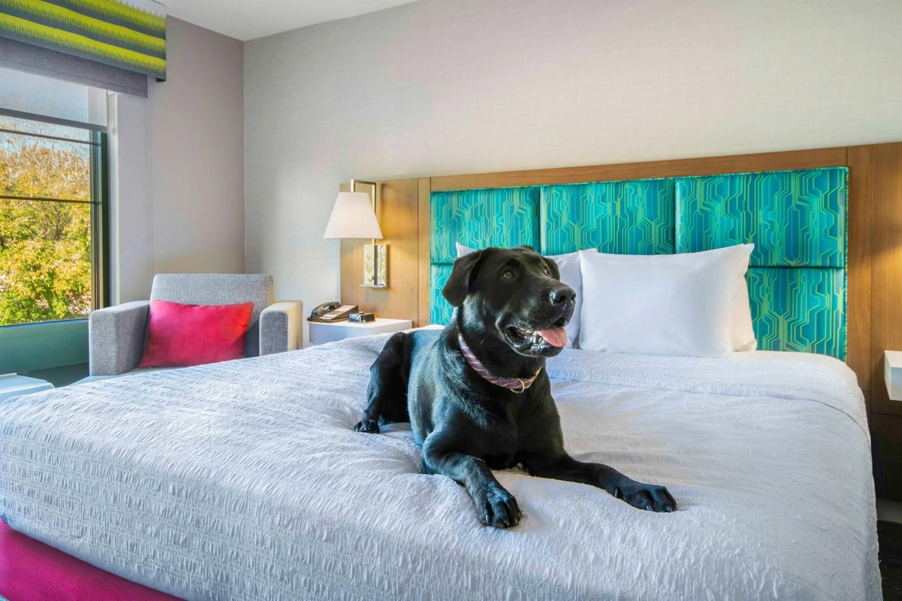 Bed in Hampton Inn East Aurora