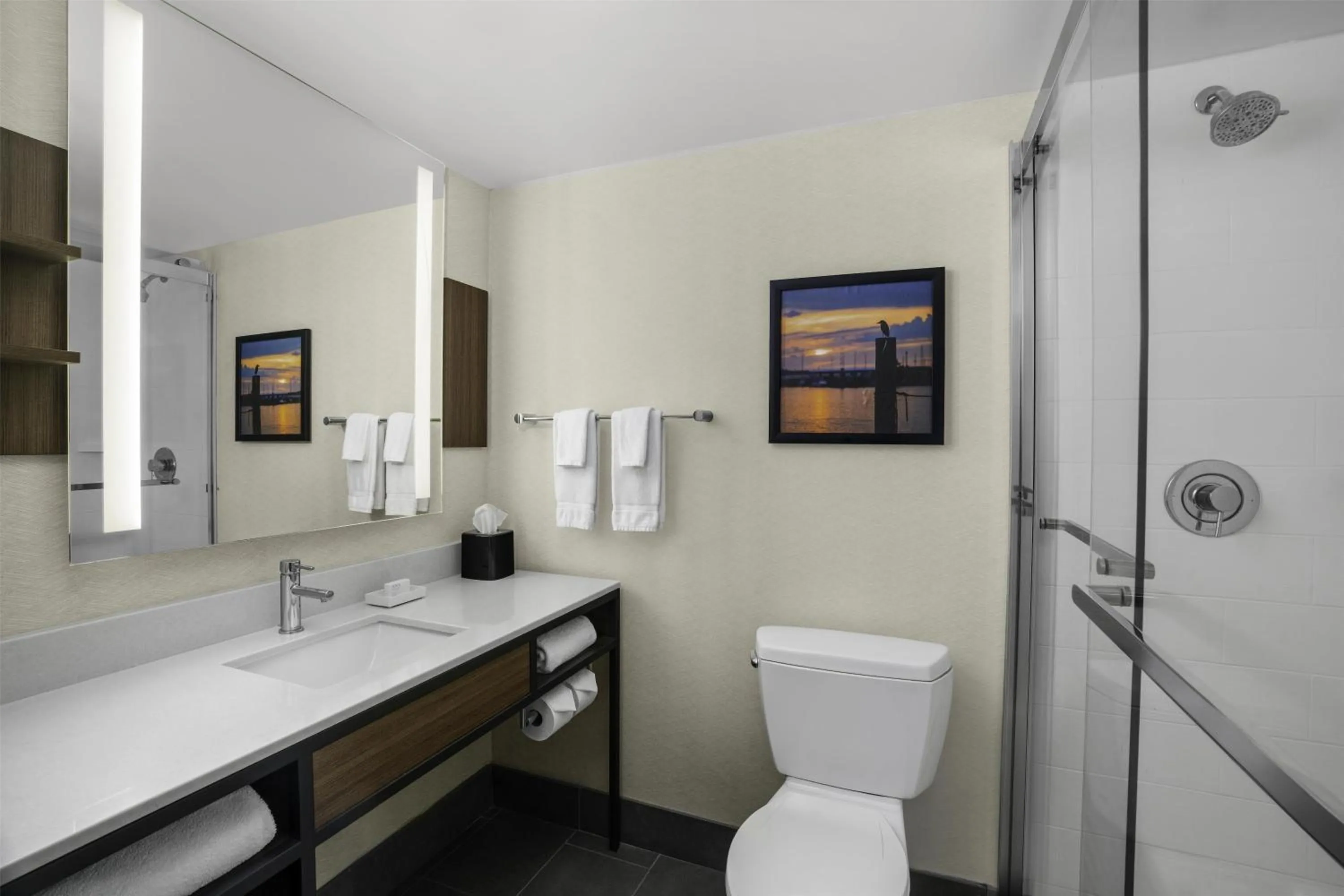 Bathroom in Hilton Garden Inn Kent Island Marina