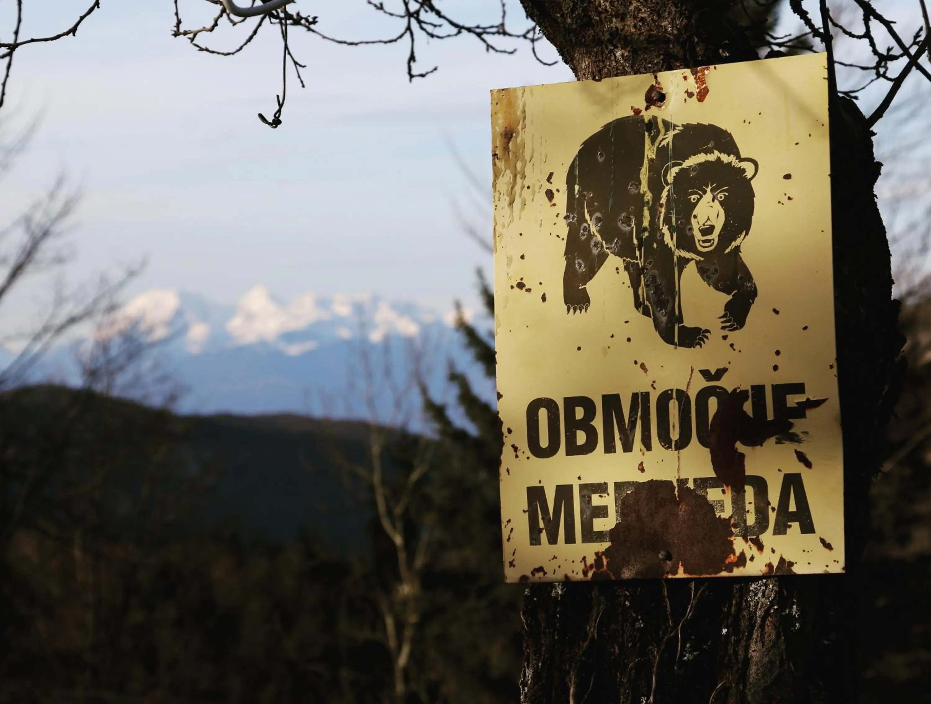 Horse-riding in Tourist Farm Strle With Great Local Food