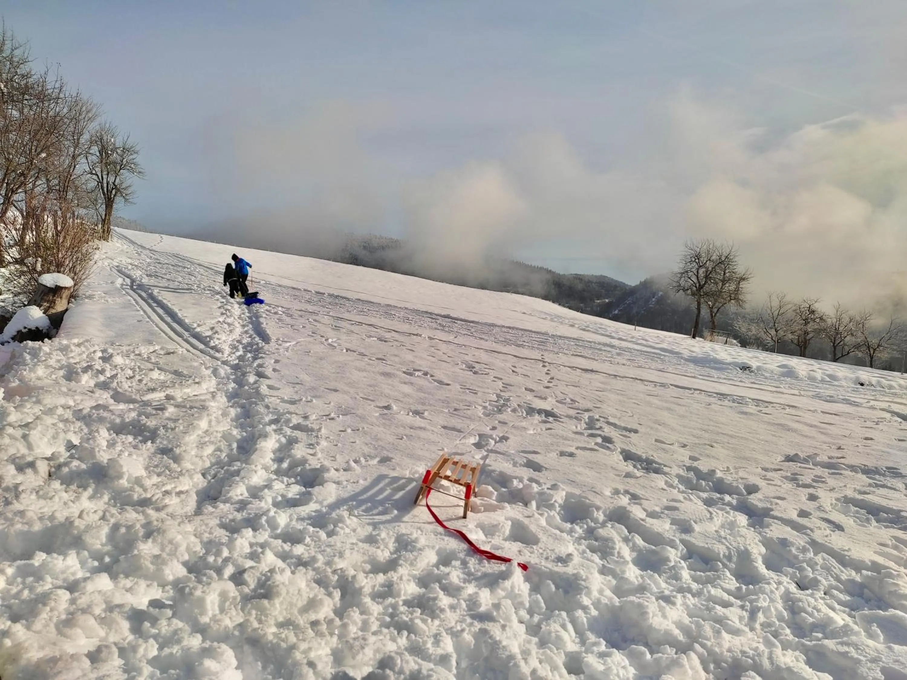 Winter in Tourist Farm Strle With Great Local Food