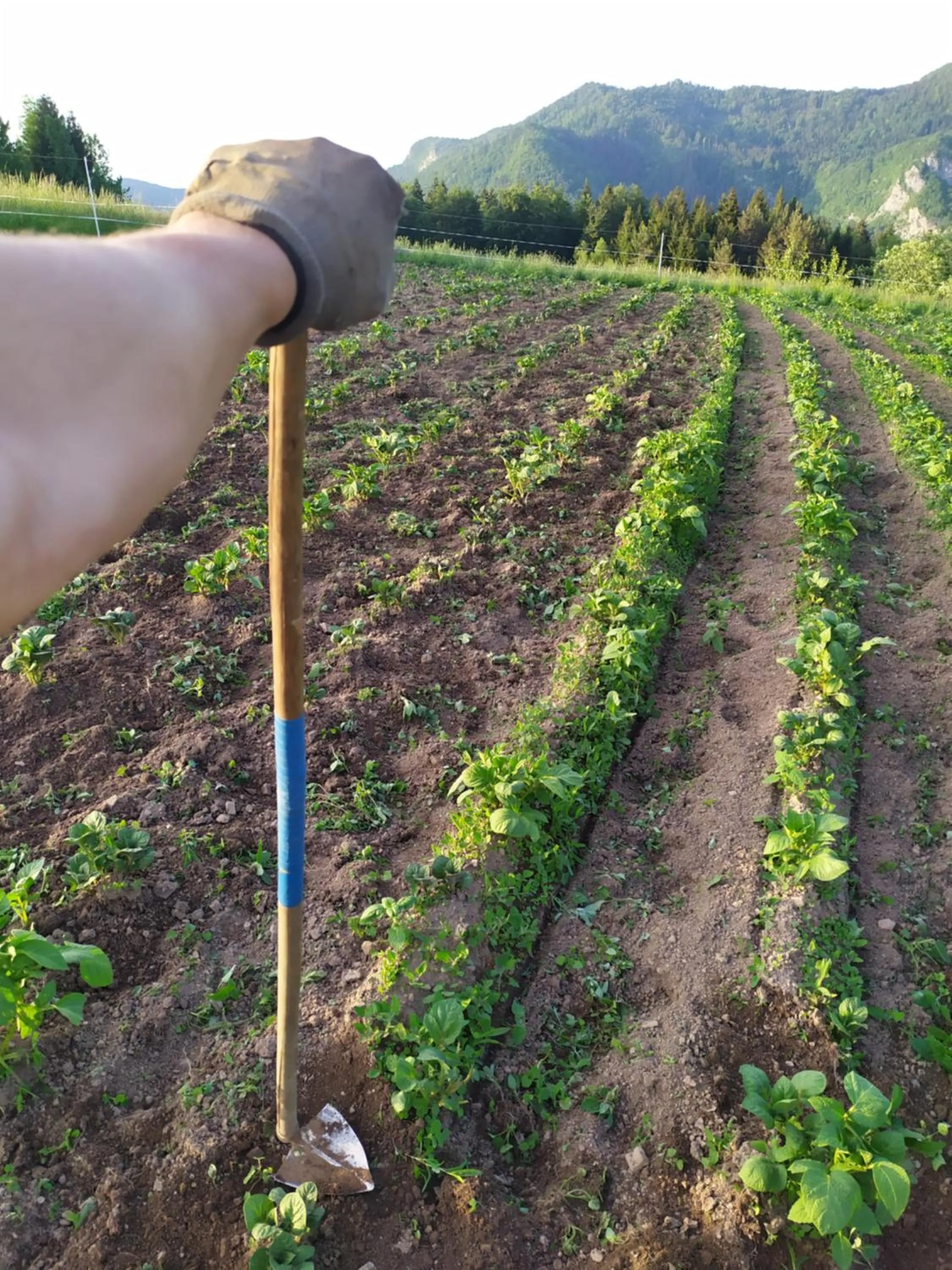 Staff in Tourist Farm Strle With Great Local Food