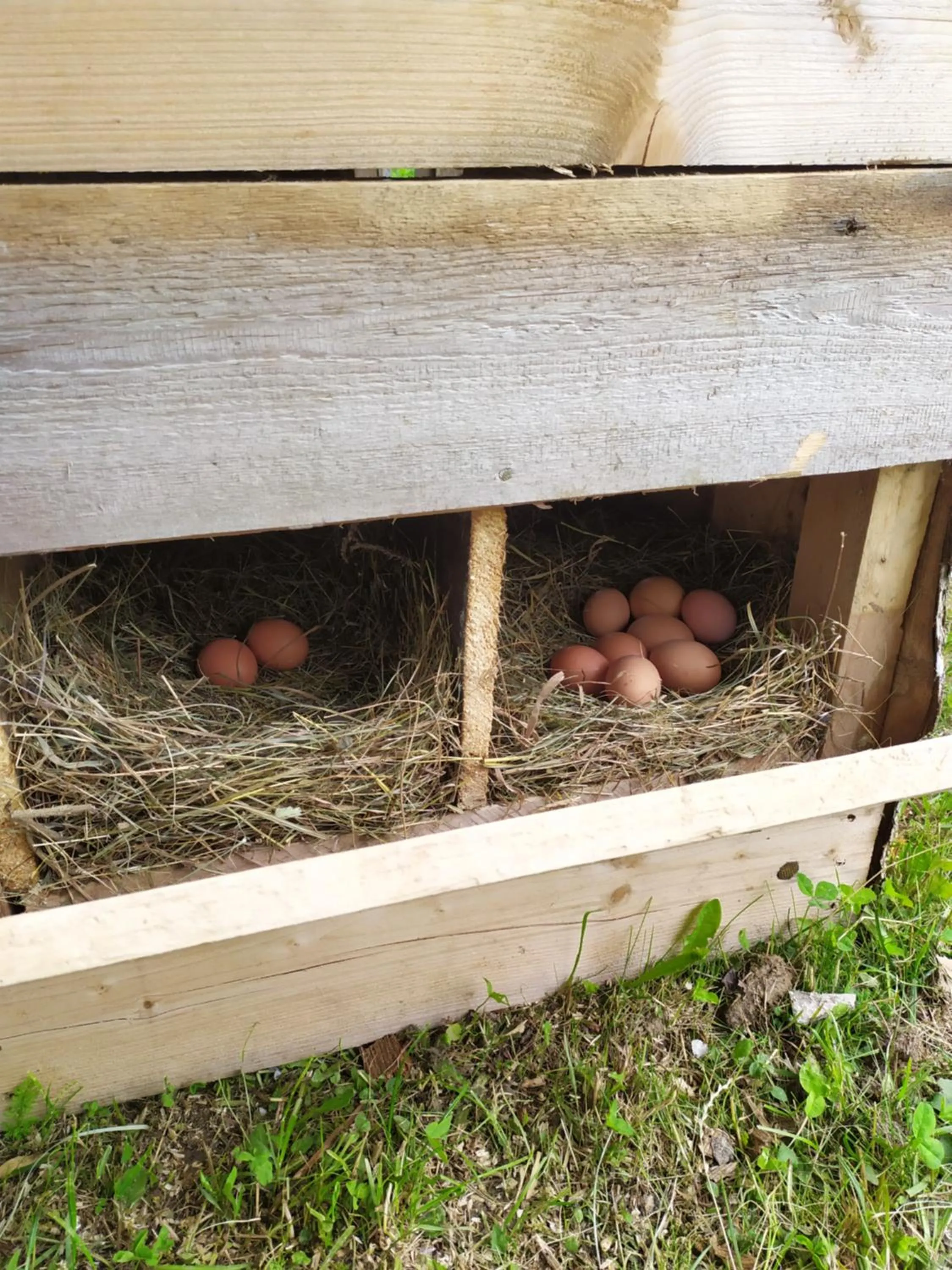 Restaurant/places to eat in Tourist Farm Strle With Great Local Food