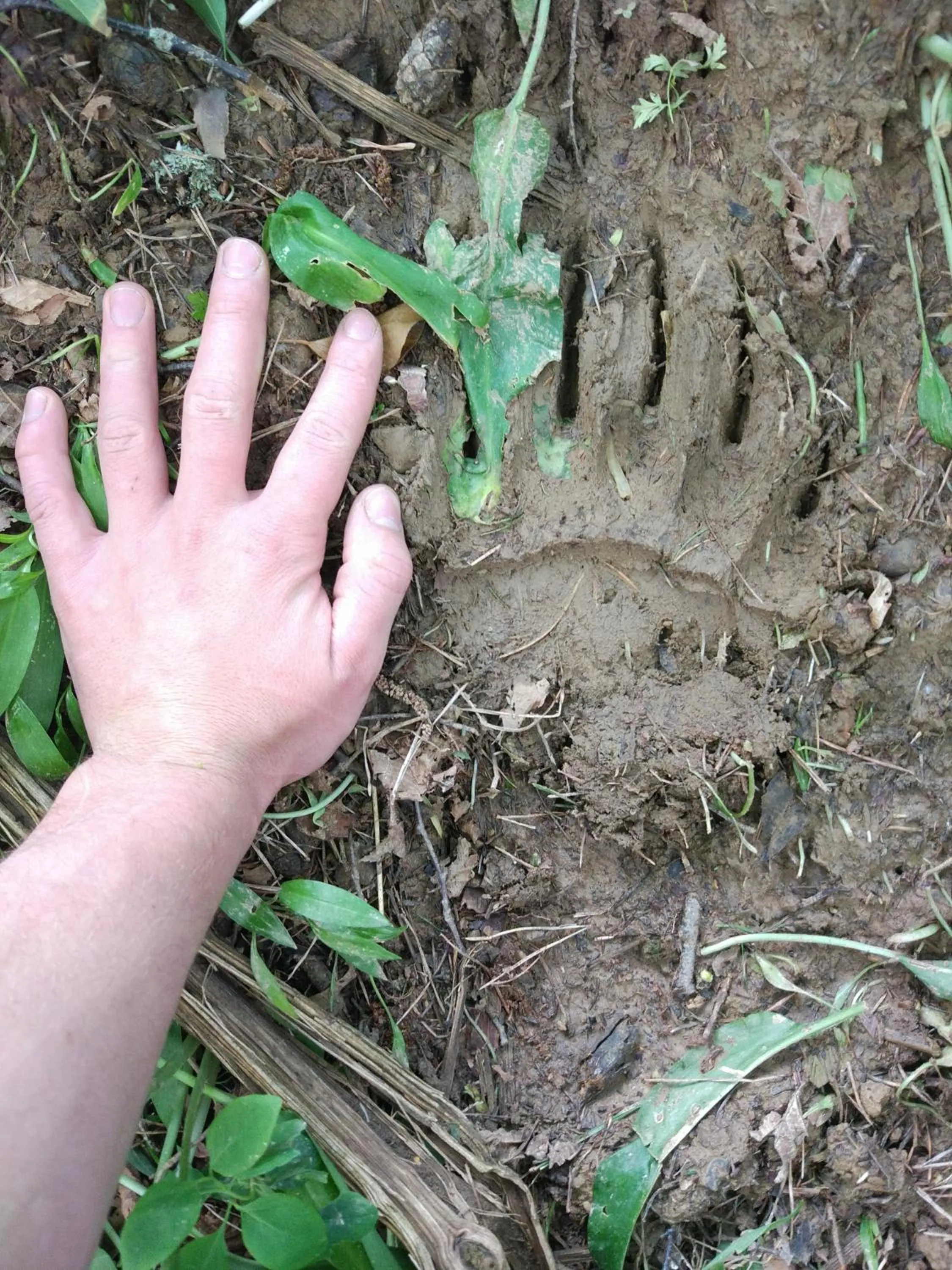 Hiking in Tourist Farm Strle With Great Local Food