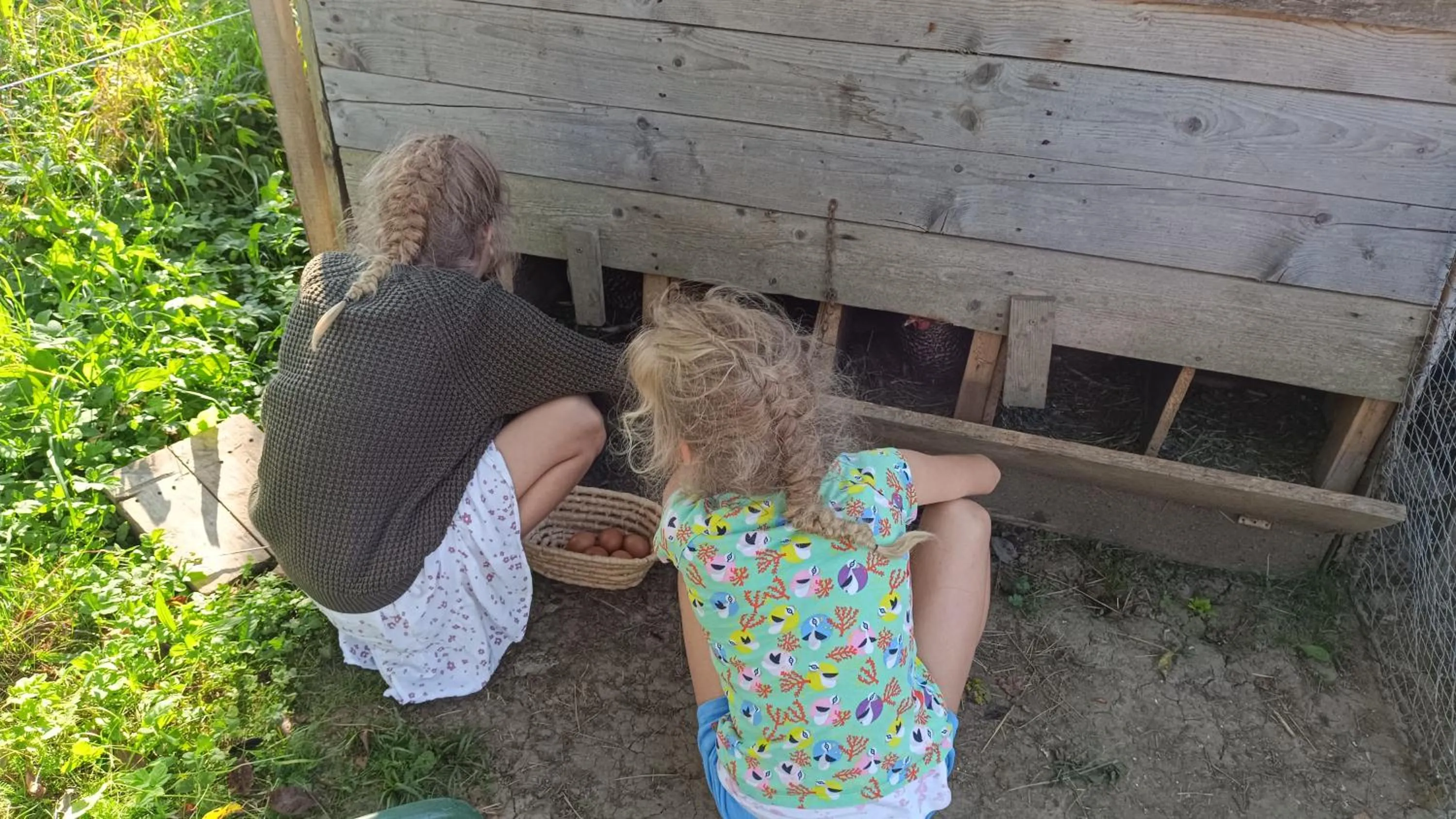Activities in Tourist Farm Strle With Great Local Food