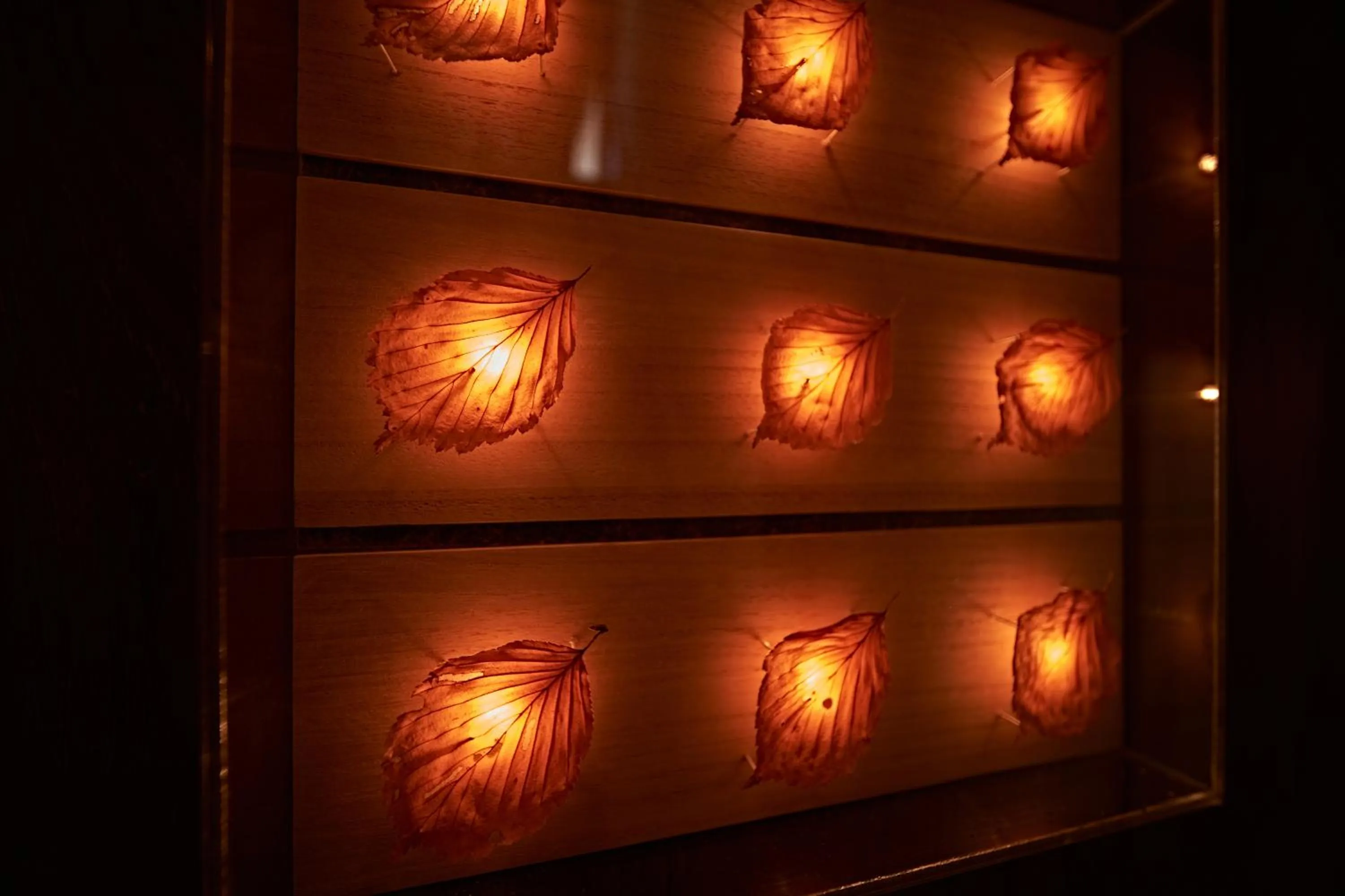 Area and facilities in Yamada Bessou くつろぎの温泉宿 山田別荘