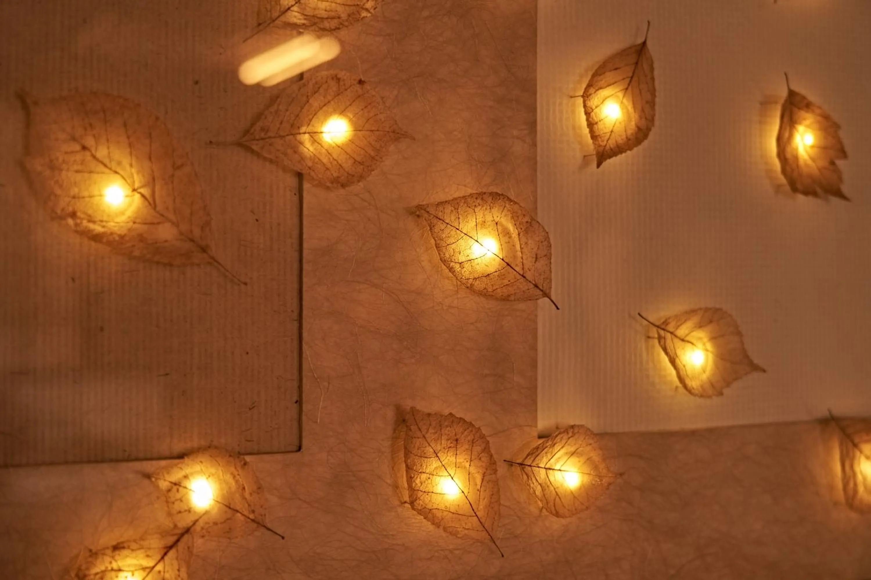 Area and facilities in Yamada Bessou くつろぎの温泉宿 山田別荘