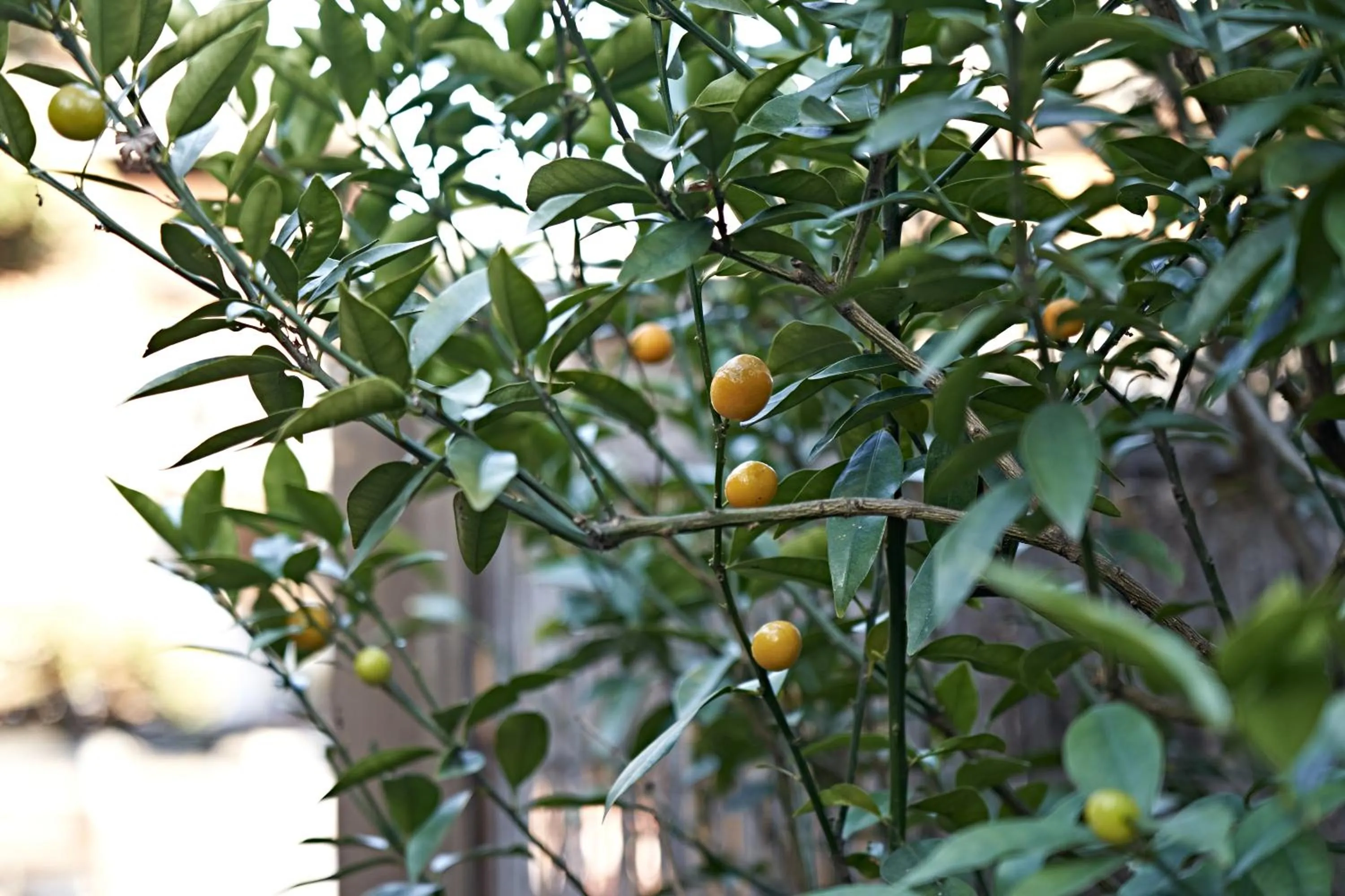 Property building in Yamada Bessou くつろぎの温泉宿 山田別荘
