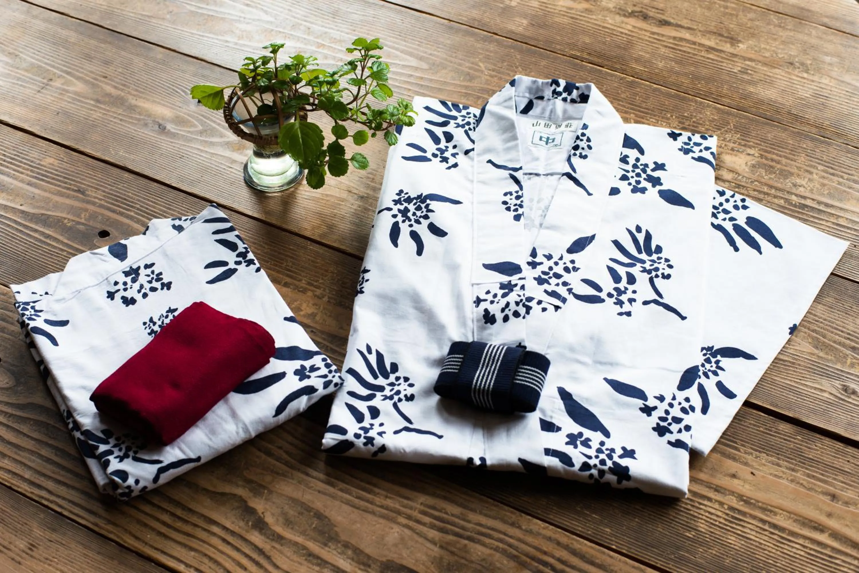 Area and facilities in Yamada Bessou くつろぎの温泉宿 山田別荘