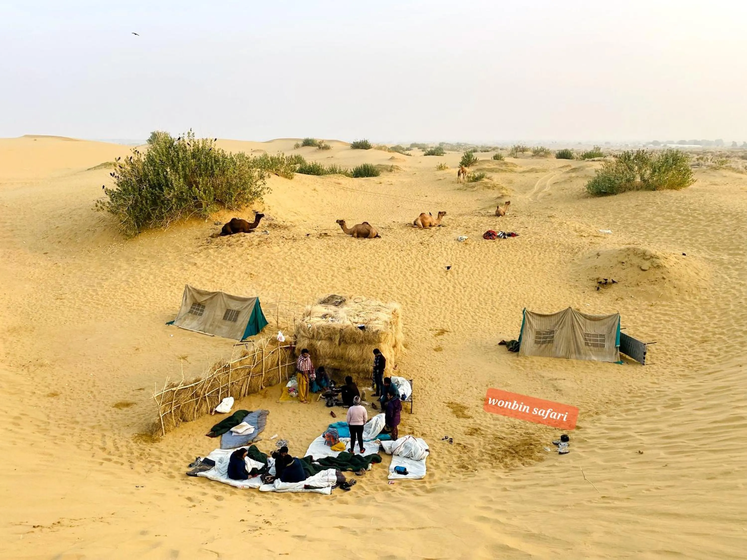 Off site in Wonbin Safari Jaisalmer