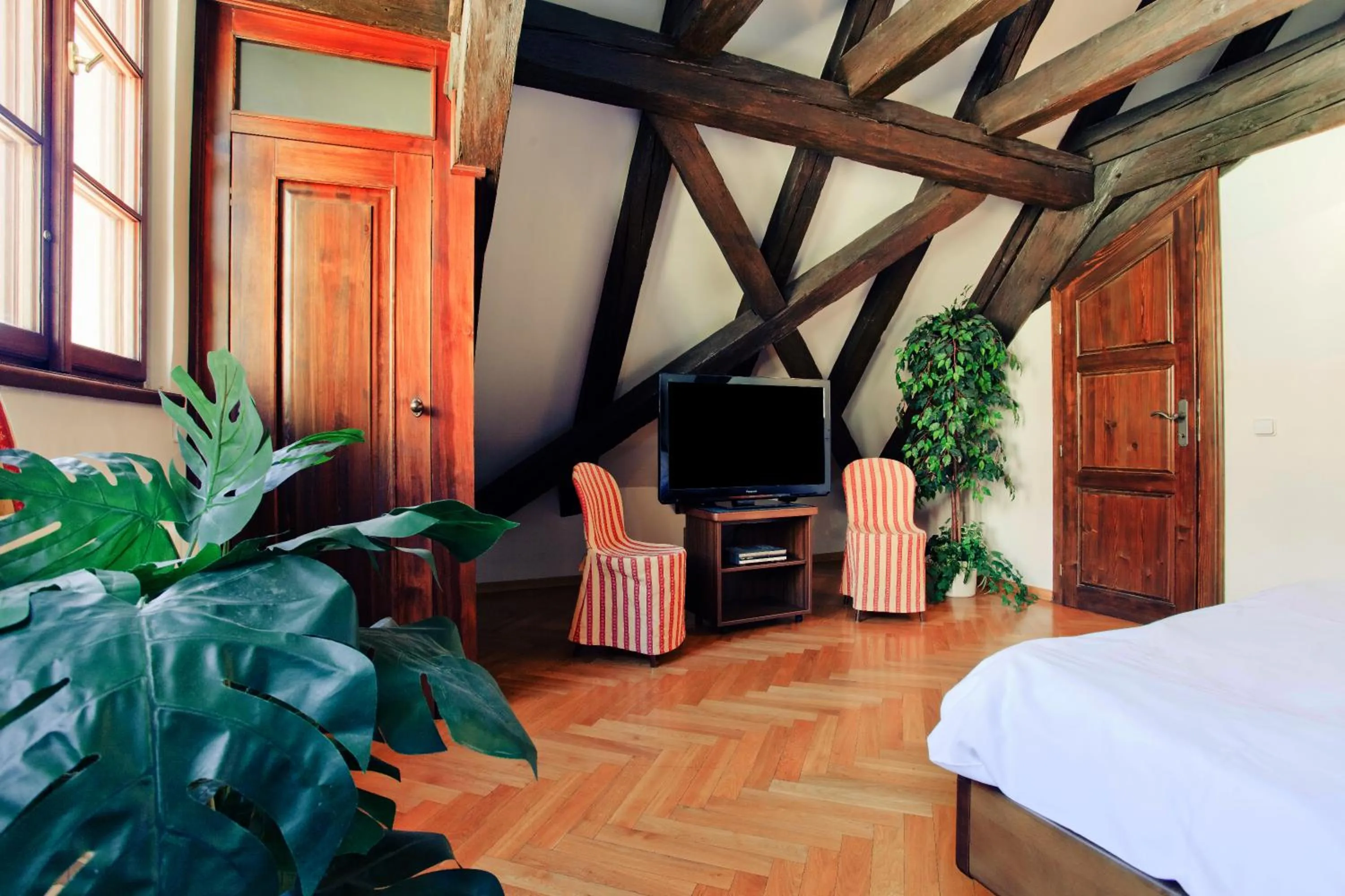 TV and multimedia, Bed in Residence Thunovska