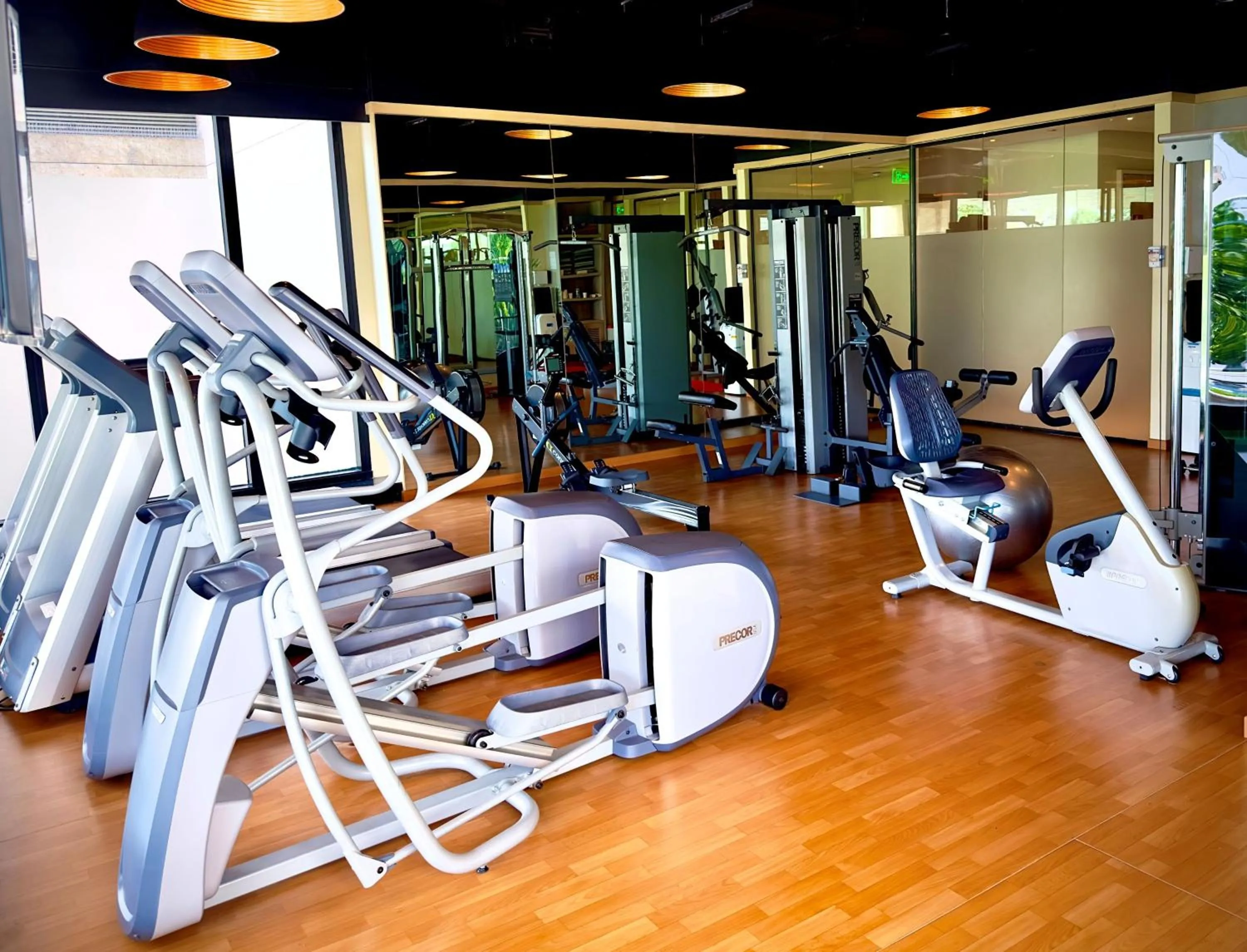 Fitness centre/facilities in Holiday Inn Bengaluru Racecourse by IHG