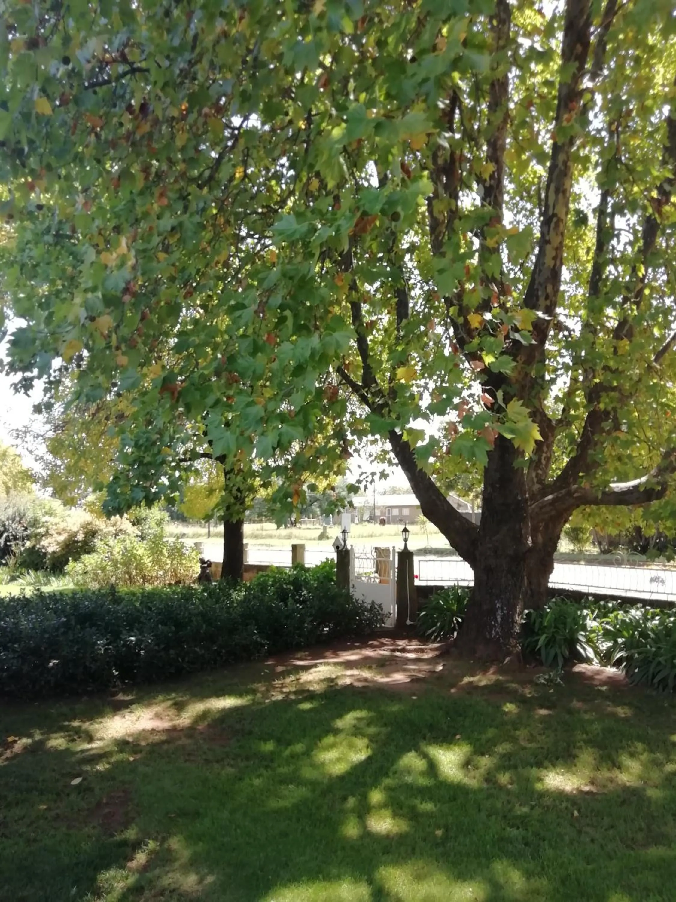 Garden in Wegkomkans B&B