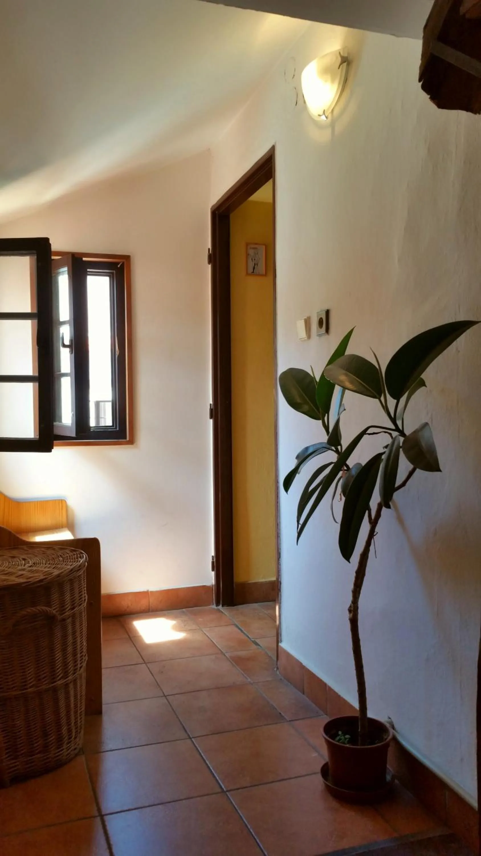 Single Bed in 6-Bed Dormitory Room in Hostel Merlin