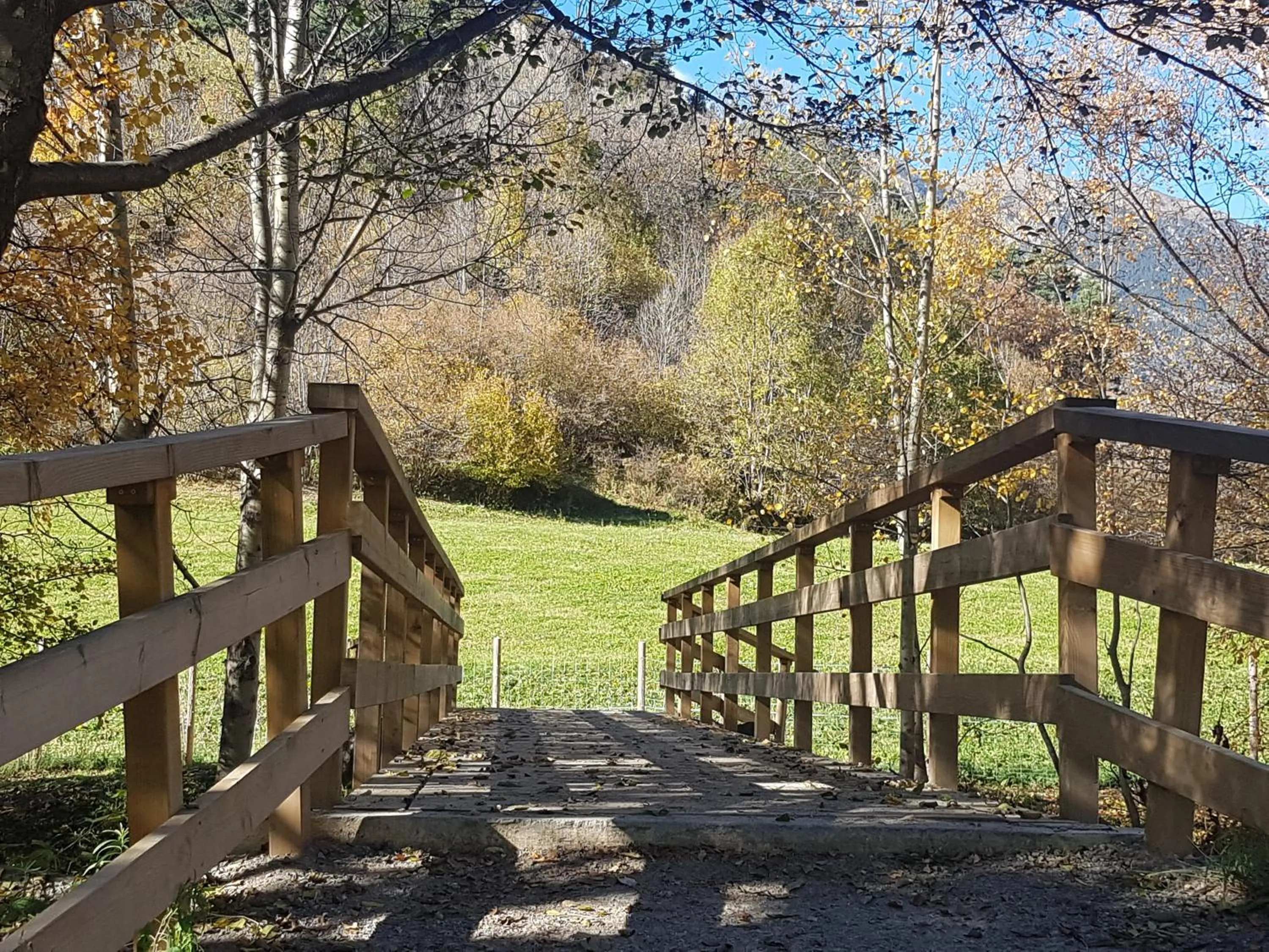 Pets in Hotel Sucara