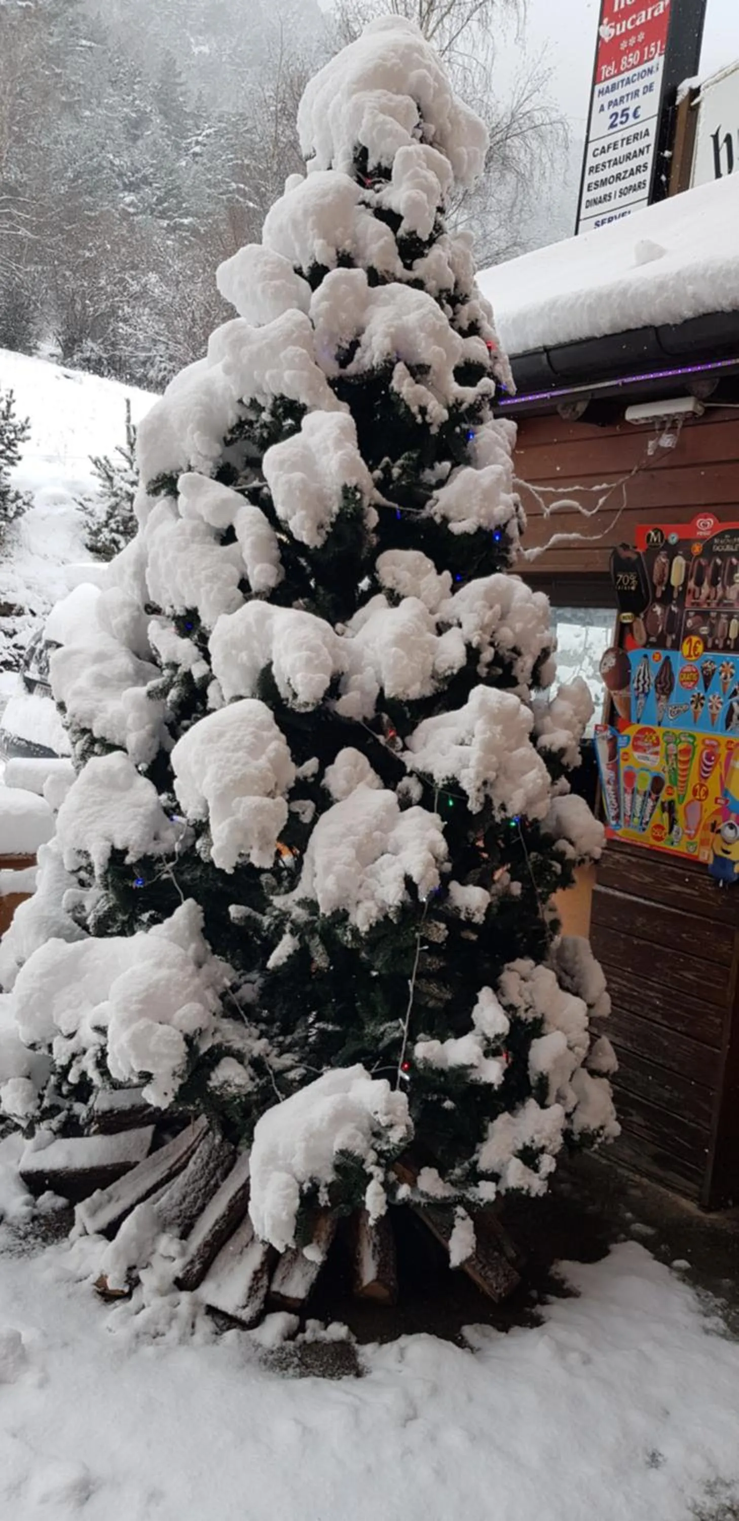 Balcony/Terrace in Hotel Sucara