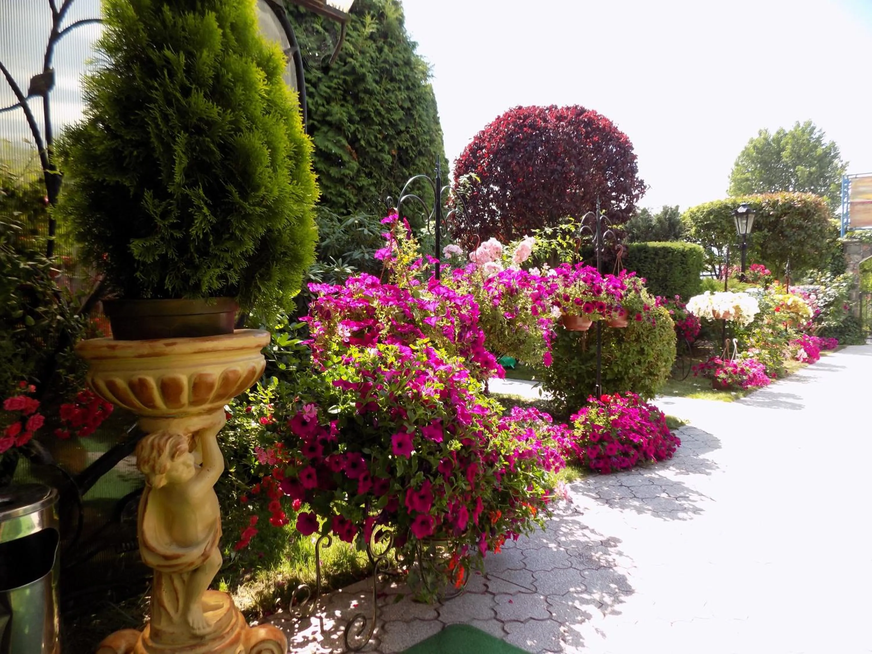 Garden in Pensjonat Angela