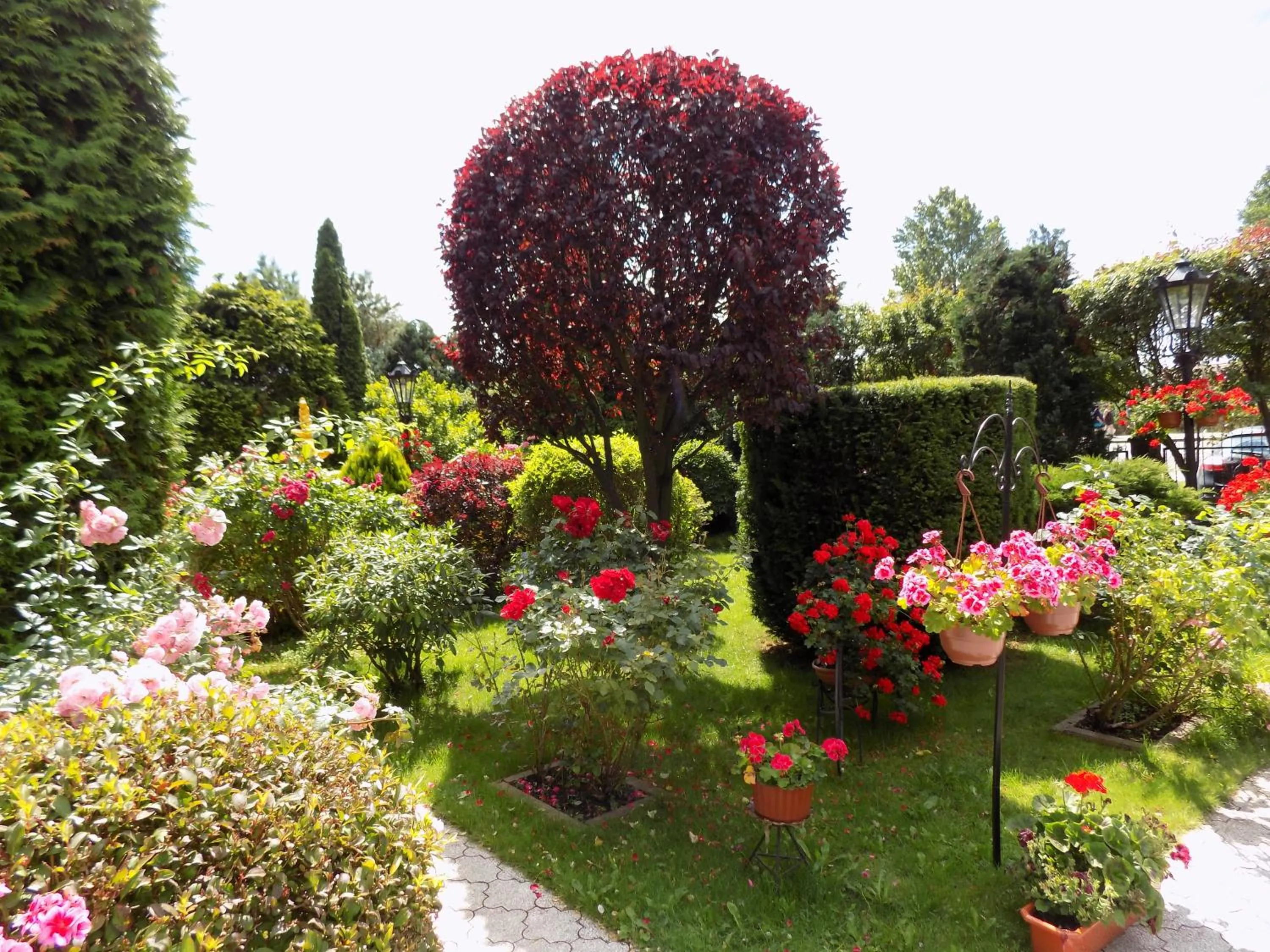 Property building in Pensjonat Angela