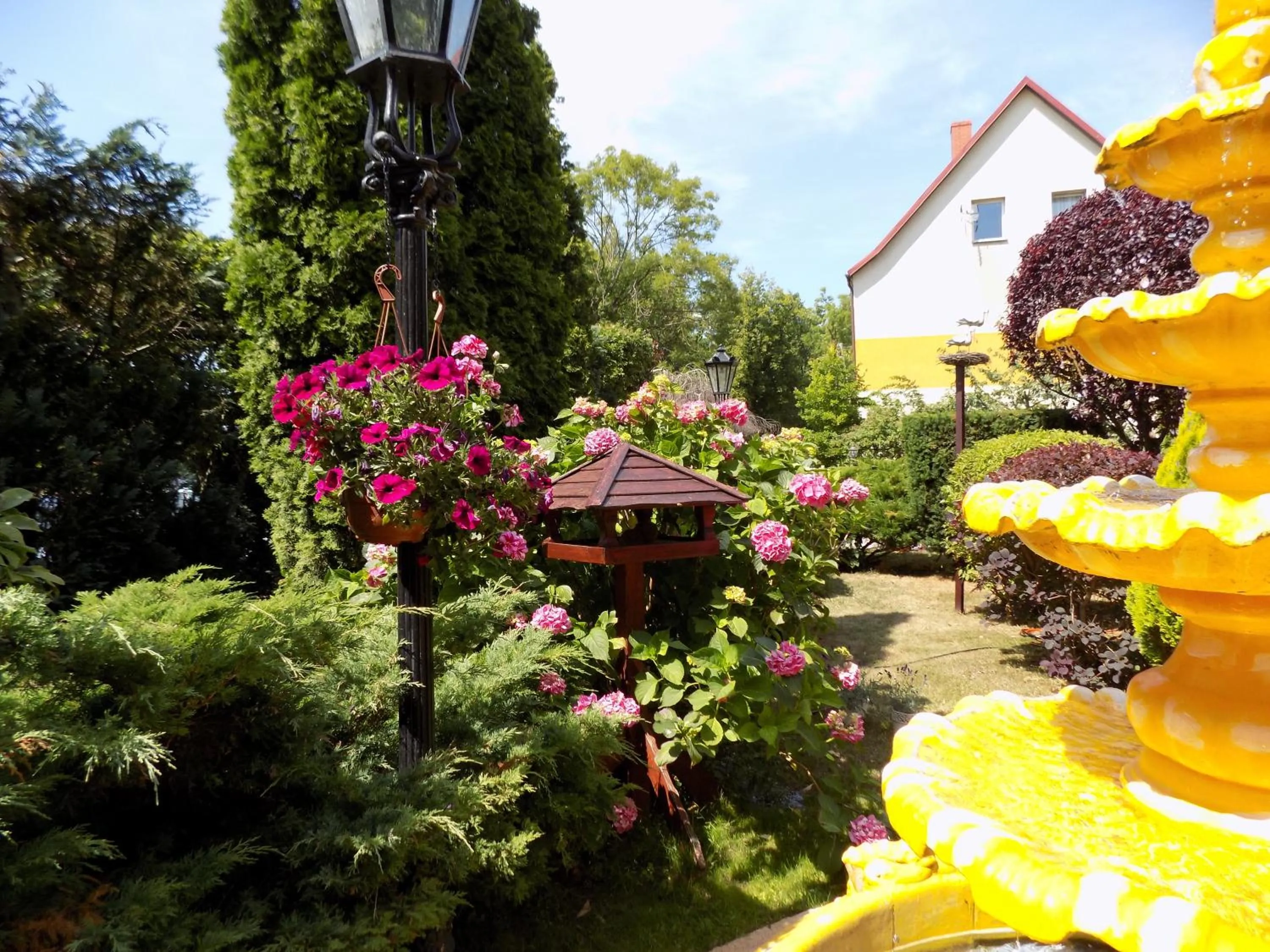 Garden in Pensjonat Angela