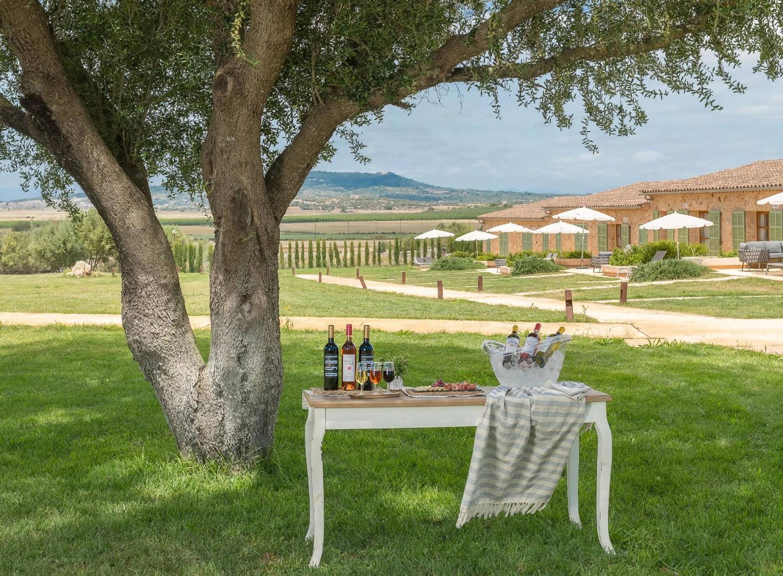 Activities in Hotel Sa Franquesa Nova