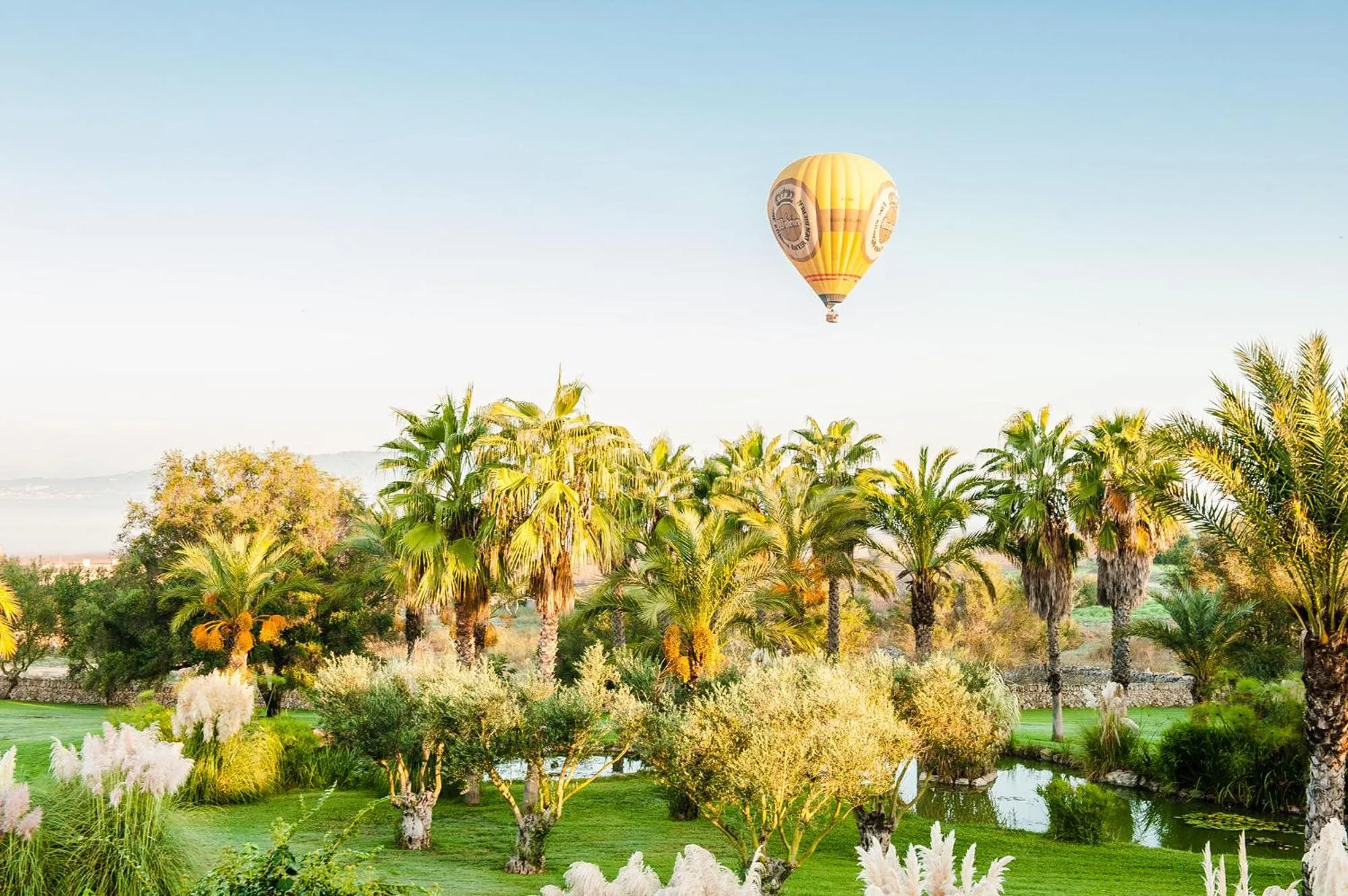 Natural landscape in Hotel Sa Franquesa Nova
