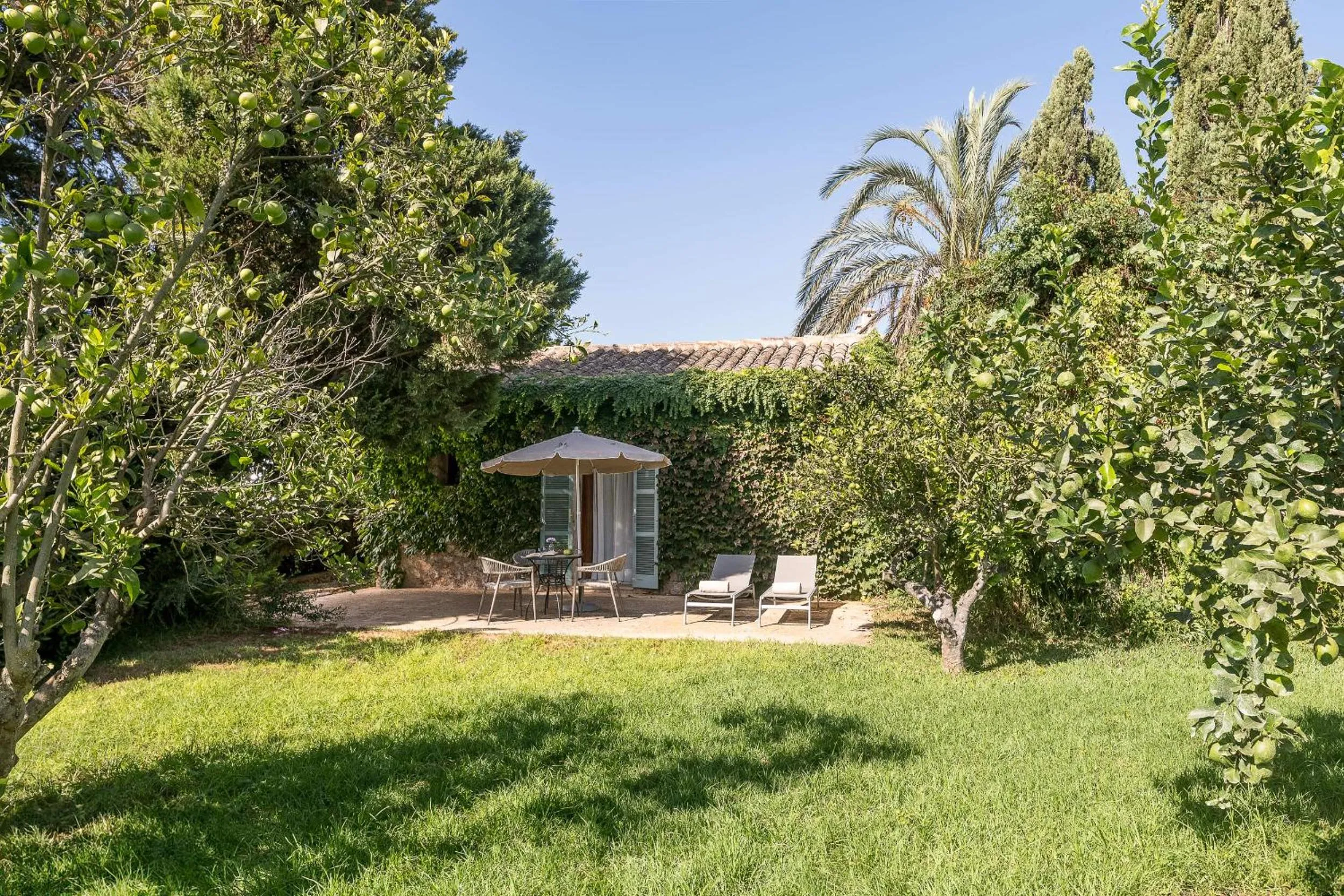 Natural landscape in Hotel Sa Franquesa Nova