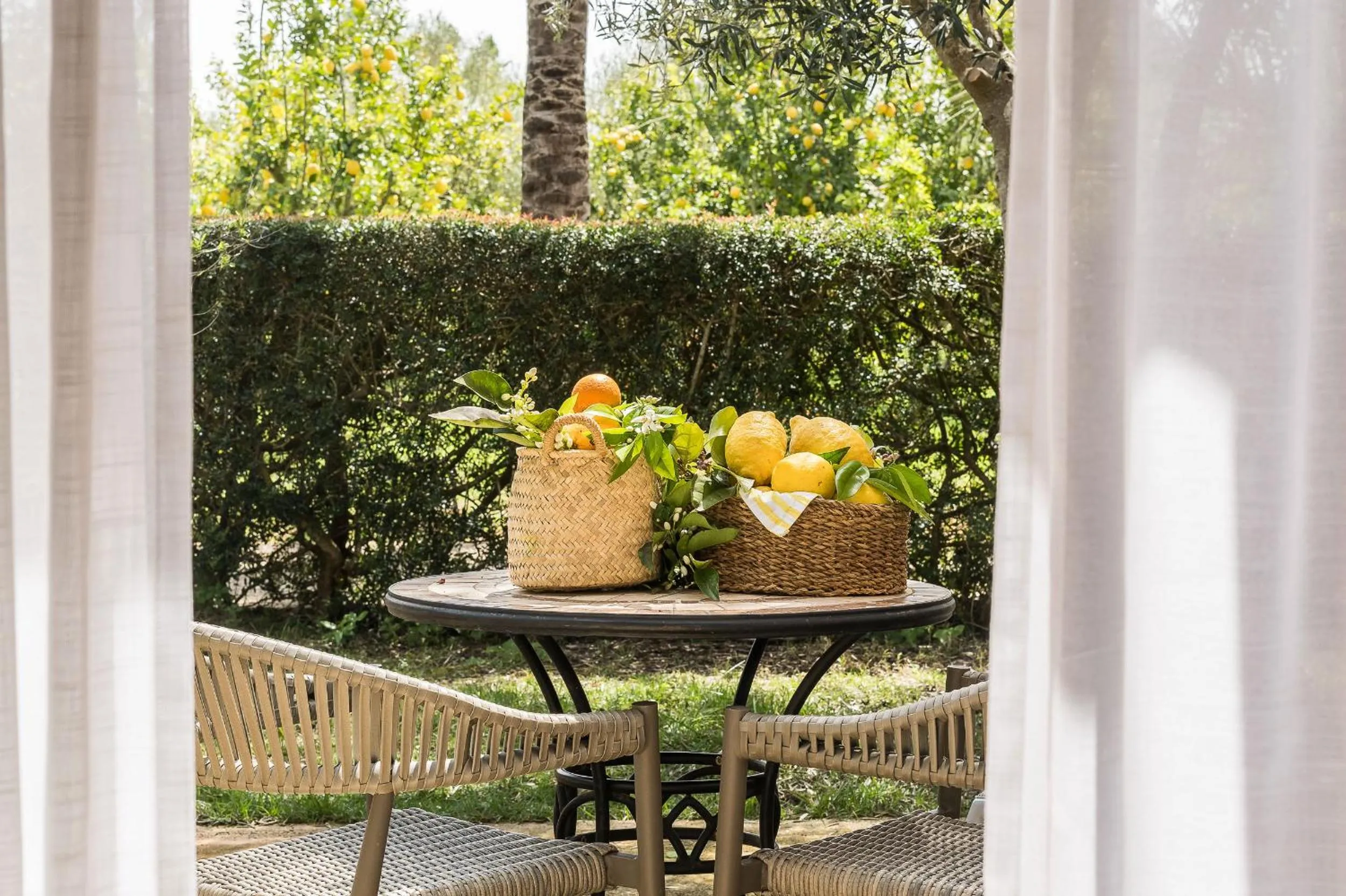 Balcony/Terrace in Hotel Sa Franquesa Nova