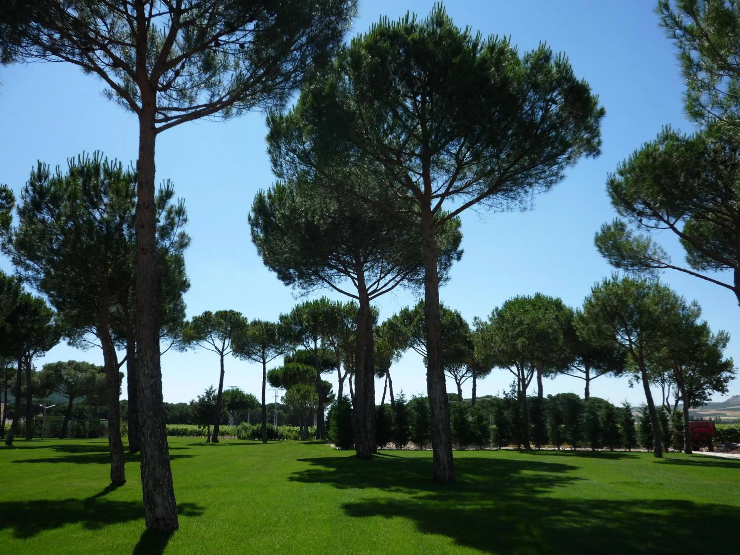Garden in Hotel & Spa Arzuaga