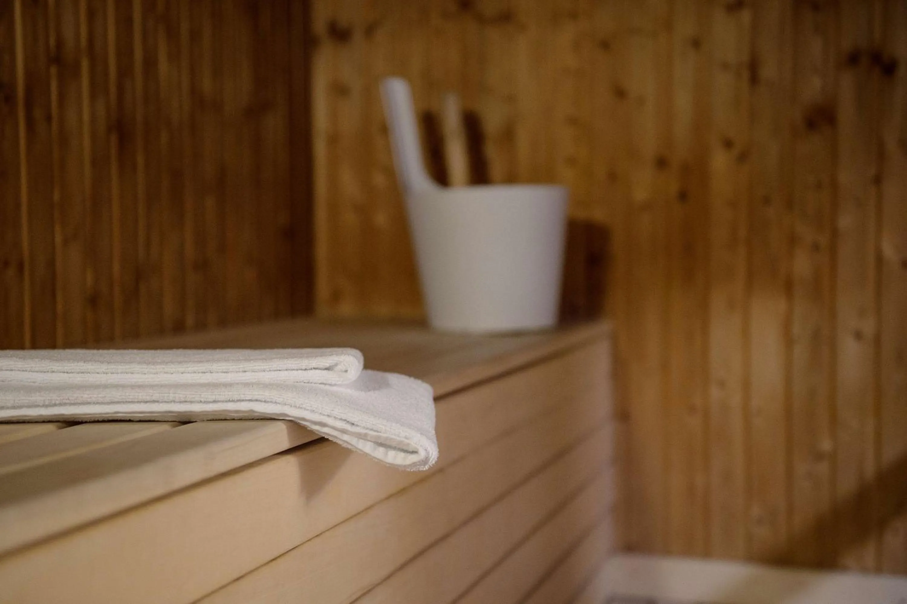 Sauna in Scandic Borlänge