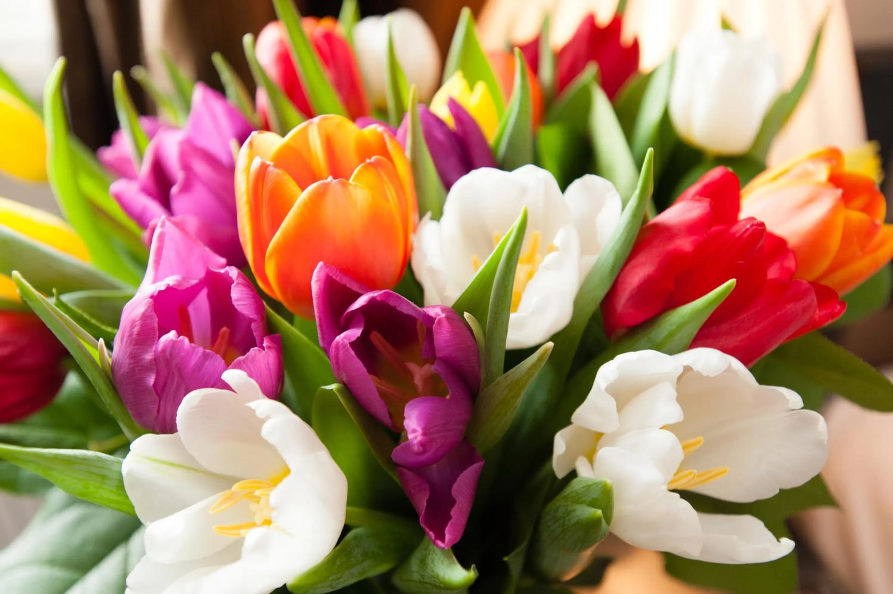 Other in New Market Ale House