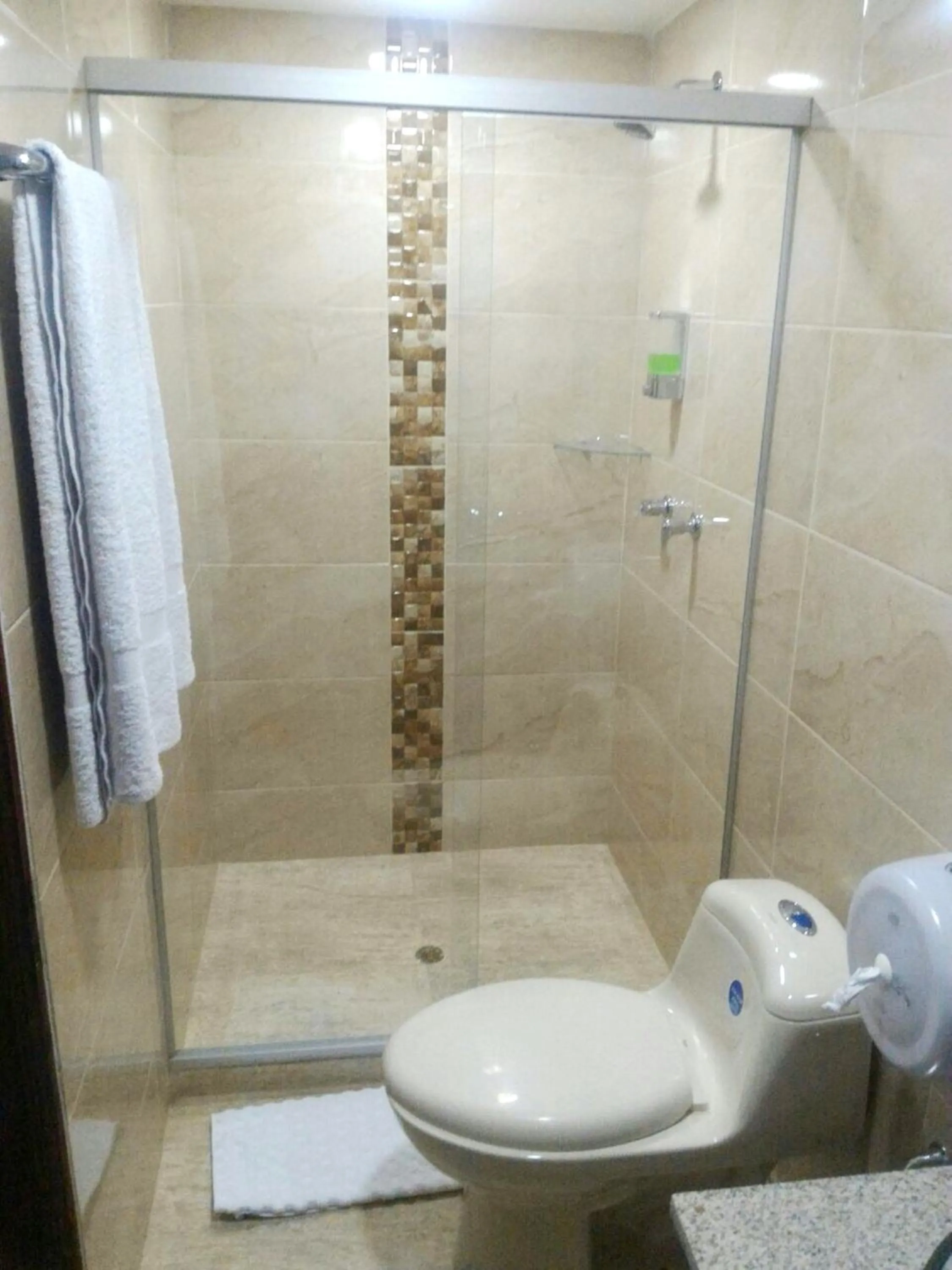 Shower in Hotel CSI Medellín