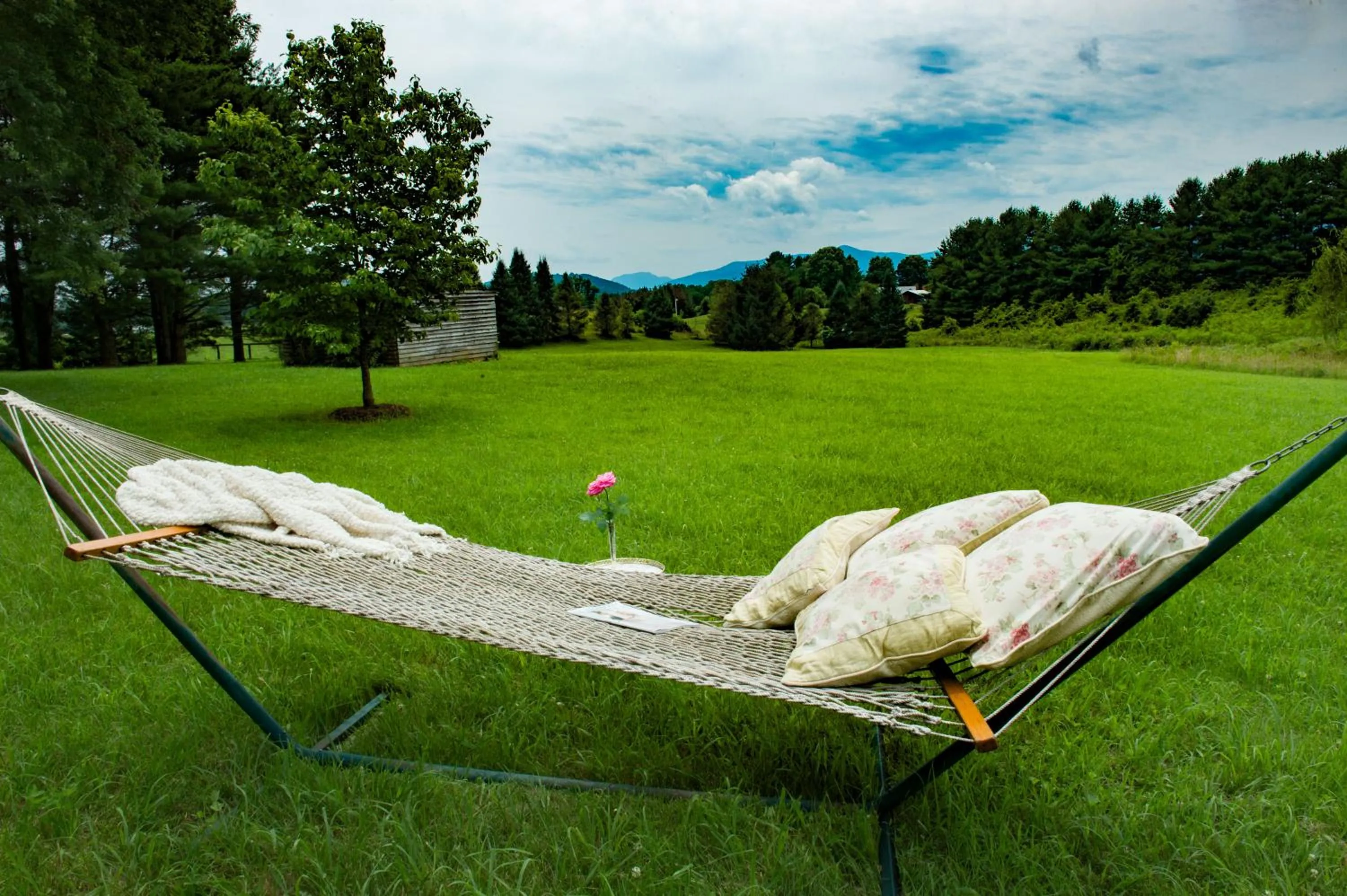 Entertainment in LeFay Cottage at Little Washington