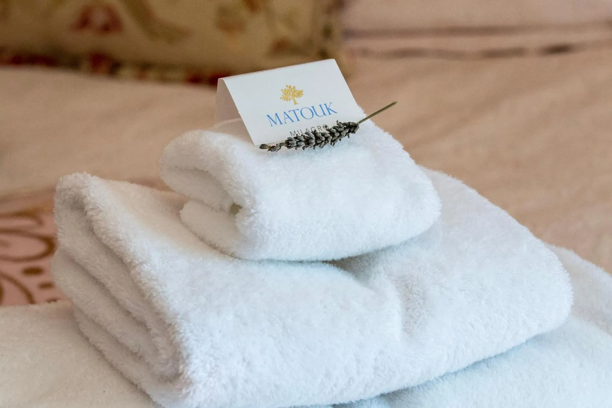 Decorative detail, Bed in LeFay Cottage at Little Washington