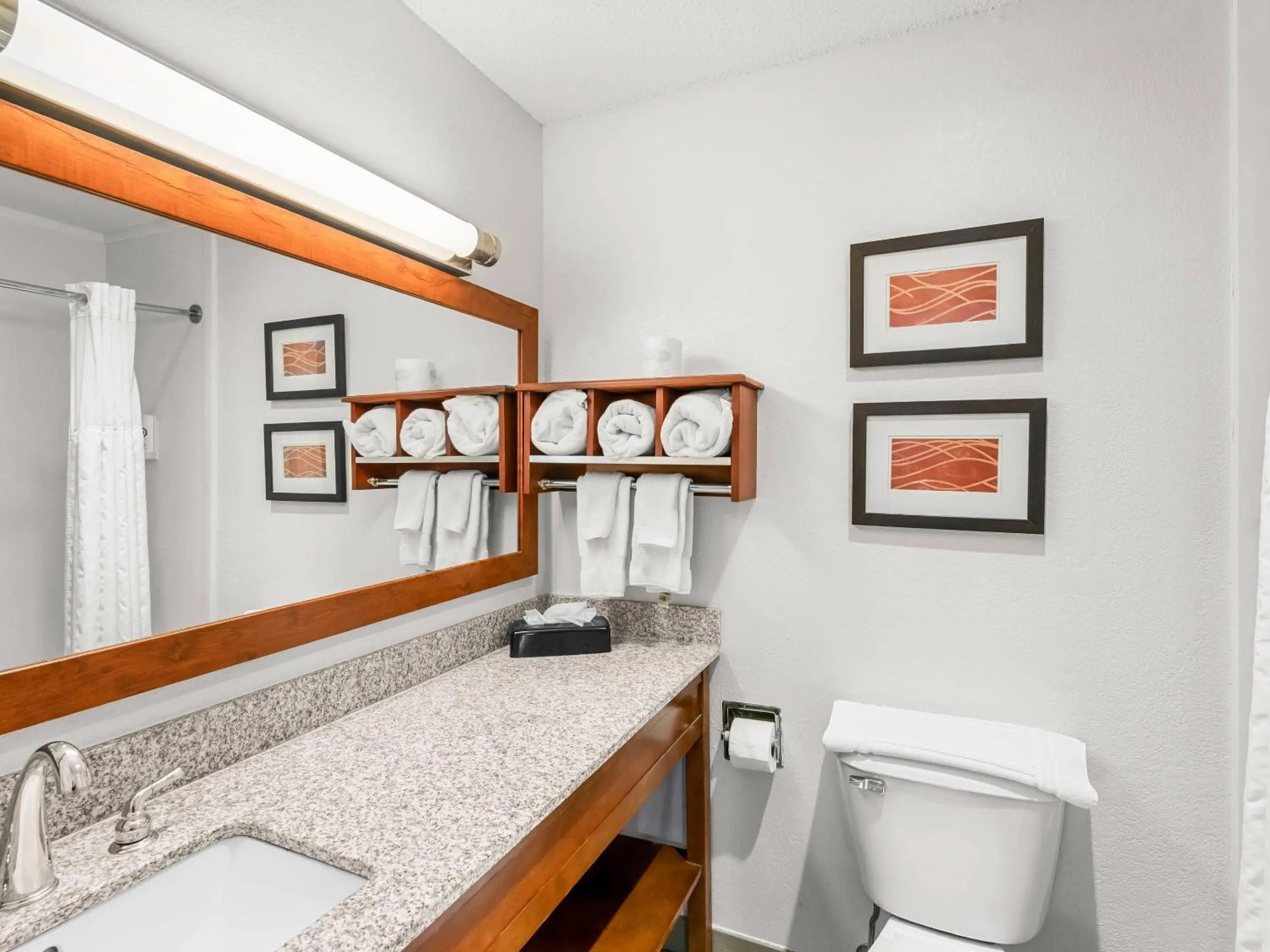 Bedroom in Comfort Inn & Suites Bellevue - Omaha Offutt AFB