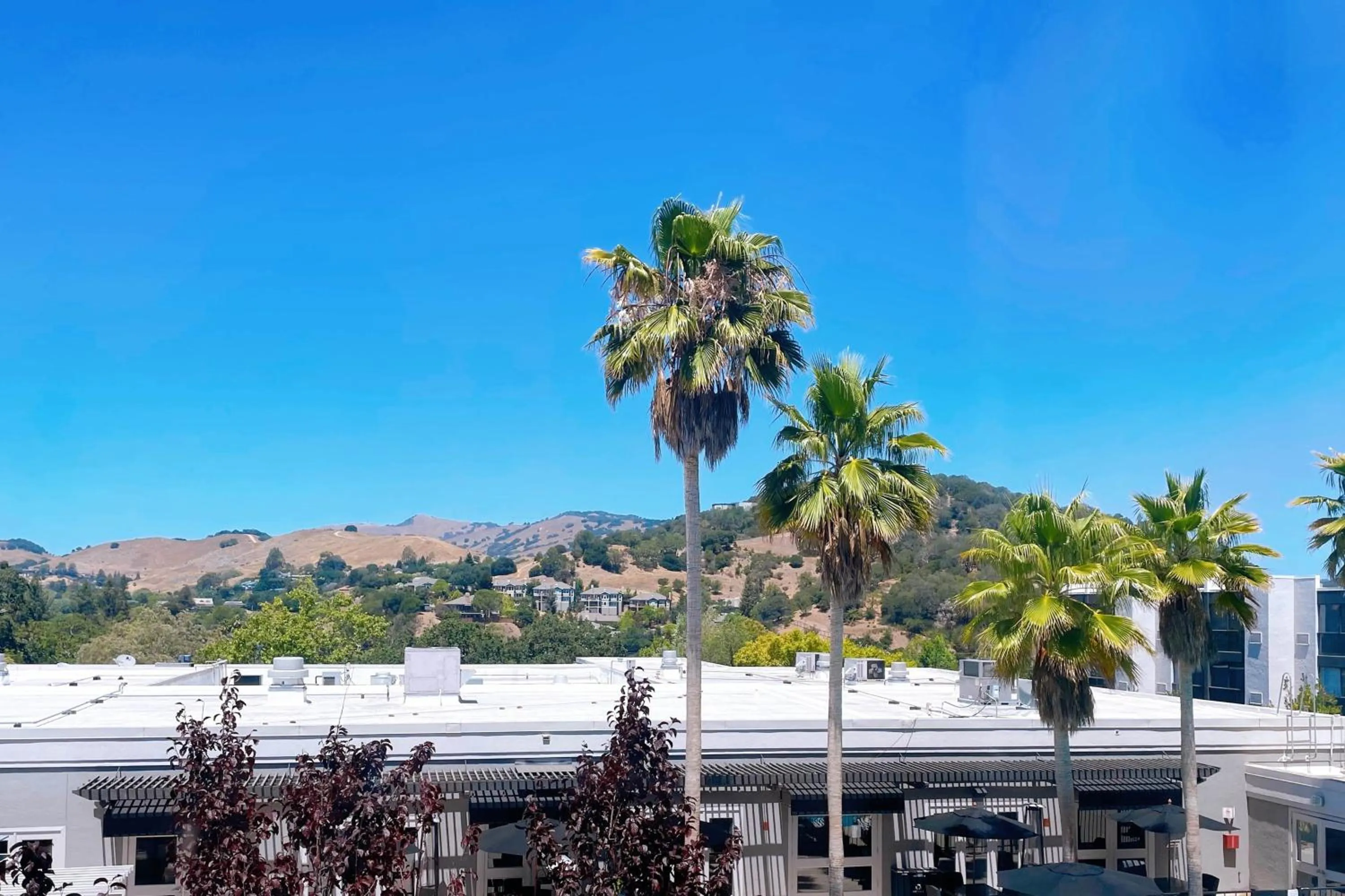 Photo of the whole room in Four Points by Sheraton San Rafael Marin County