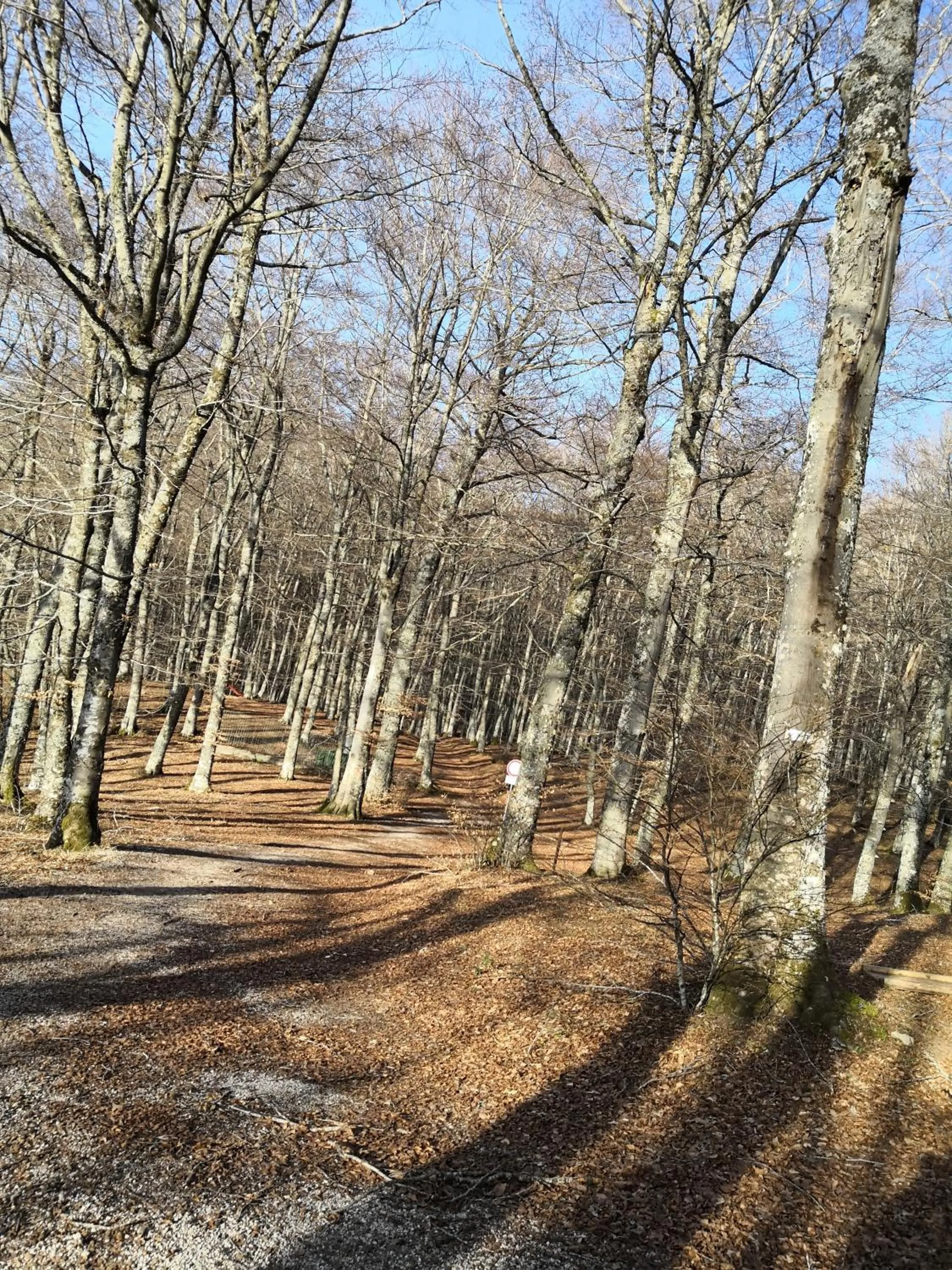 Il sasso bed & breakfast