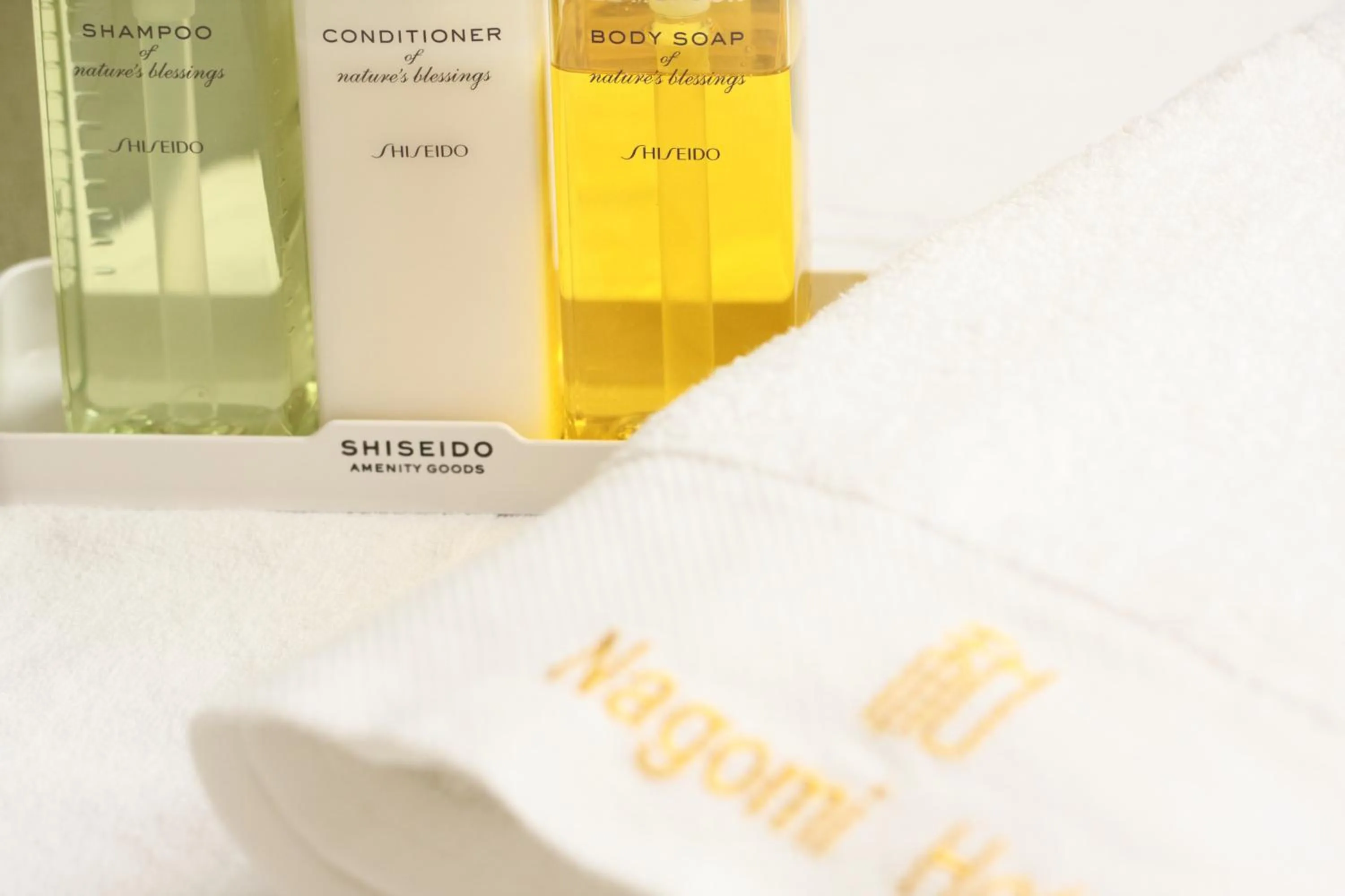 Photo of the whole room in Nagomi Hotel Nippori