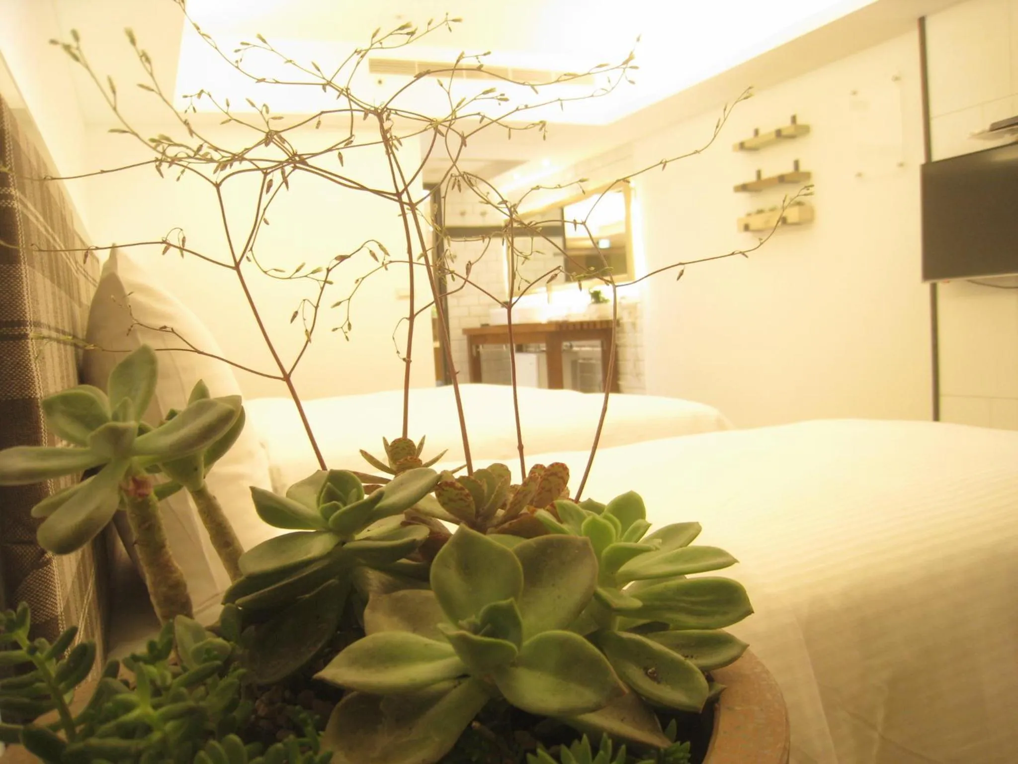 Bed in Formosa Boulerard Garden Hotel