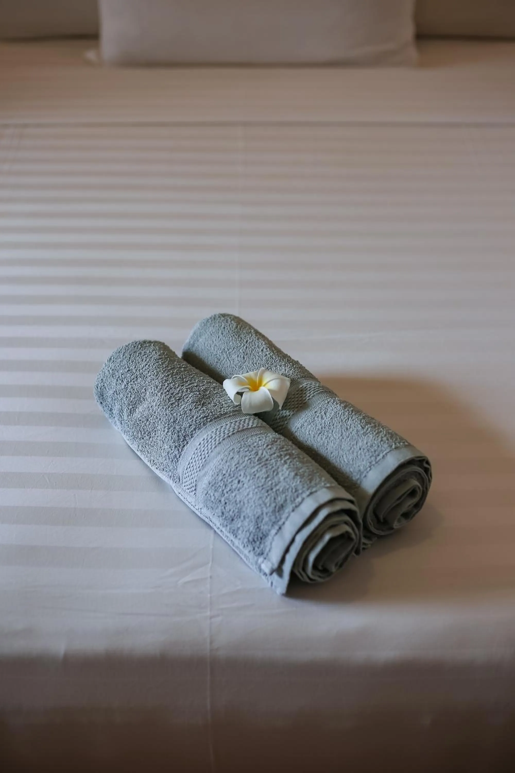 The 5 Brothers Hotel