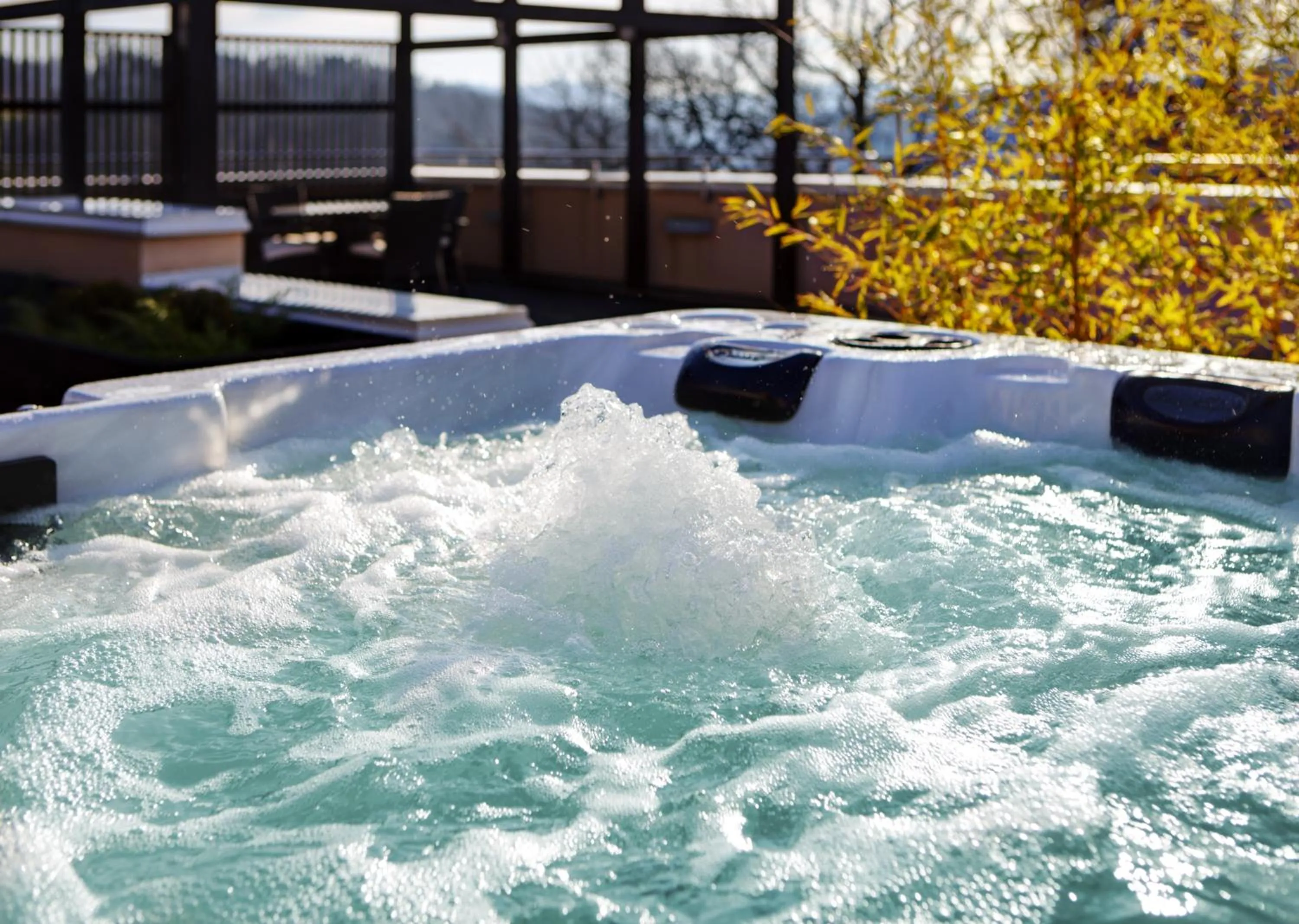 Hot Tub in Hotel Aleksander Medical & SPA