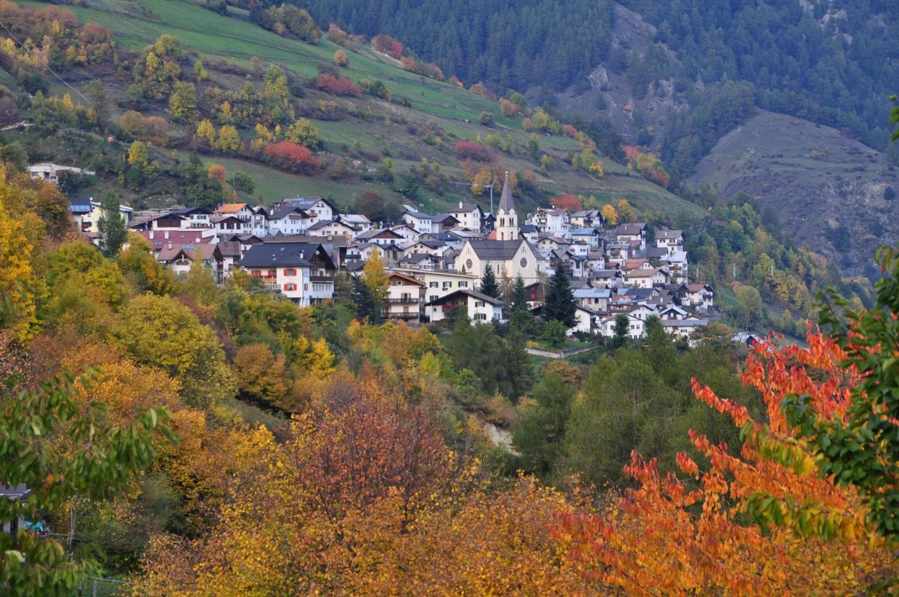 City view in Hotel Traube - Stelvio
