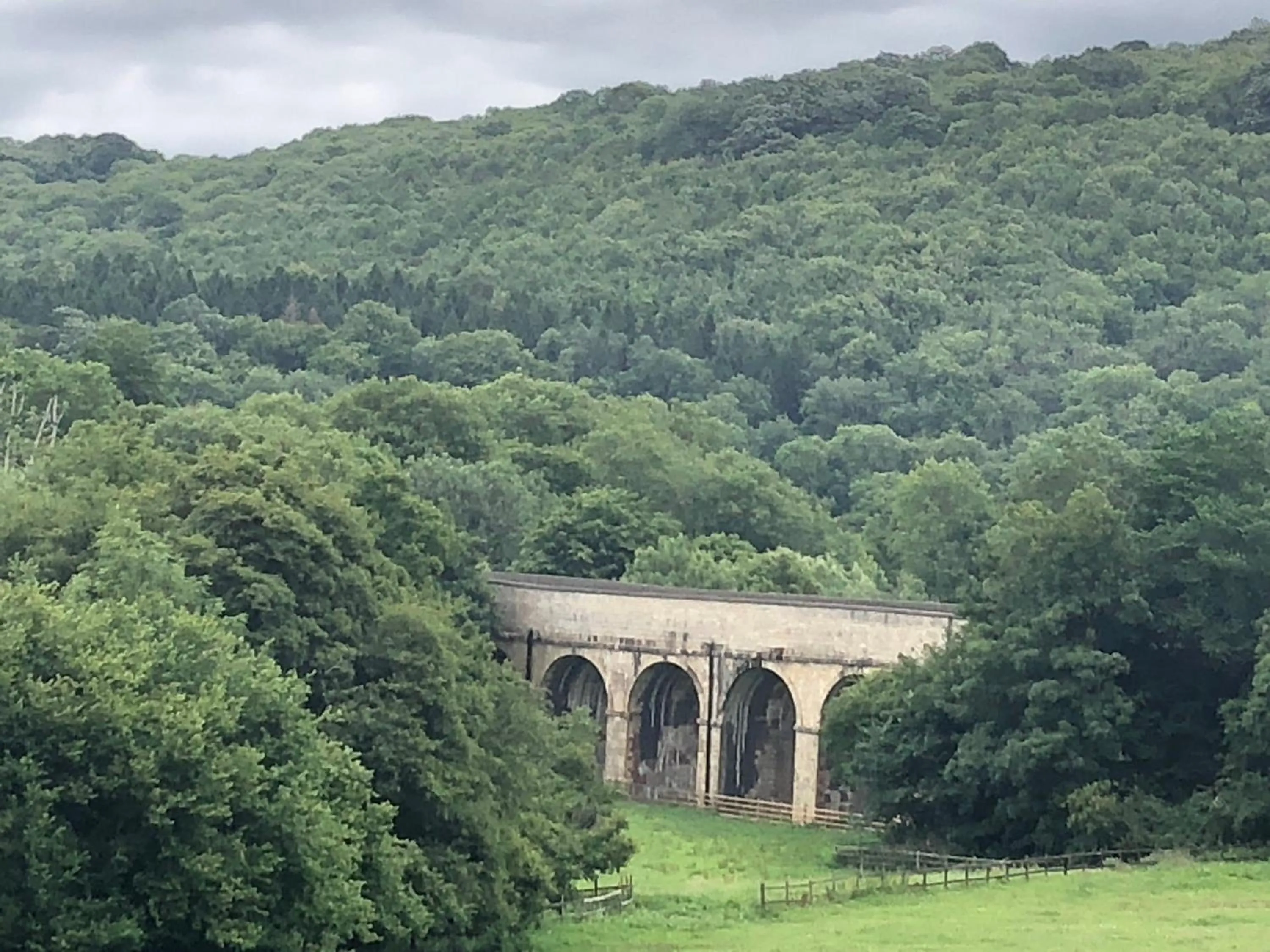 Natural landscape in Devonshire House