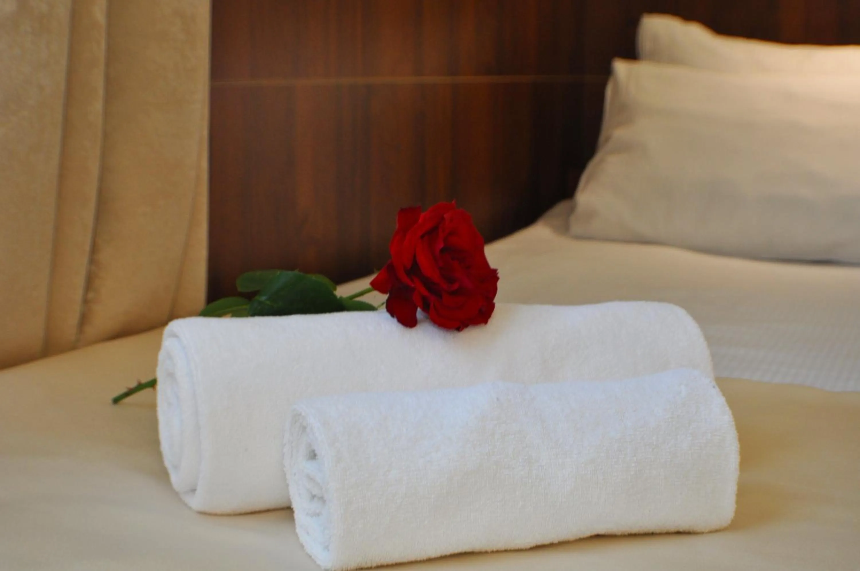 towels in Hotel TIREST