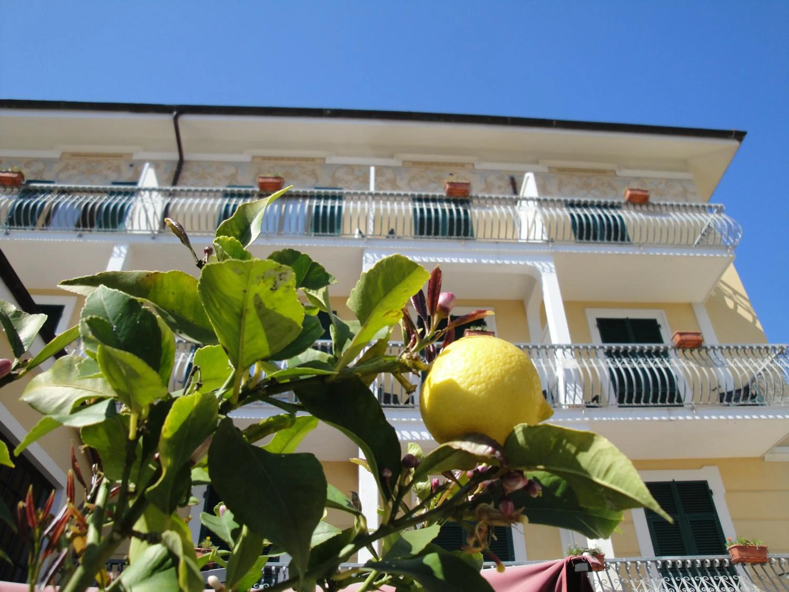 Property building in Hotel Miranda